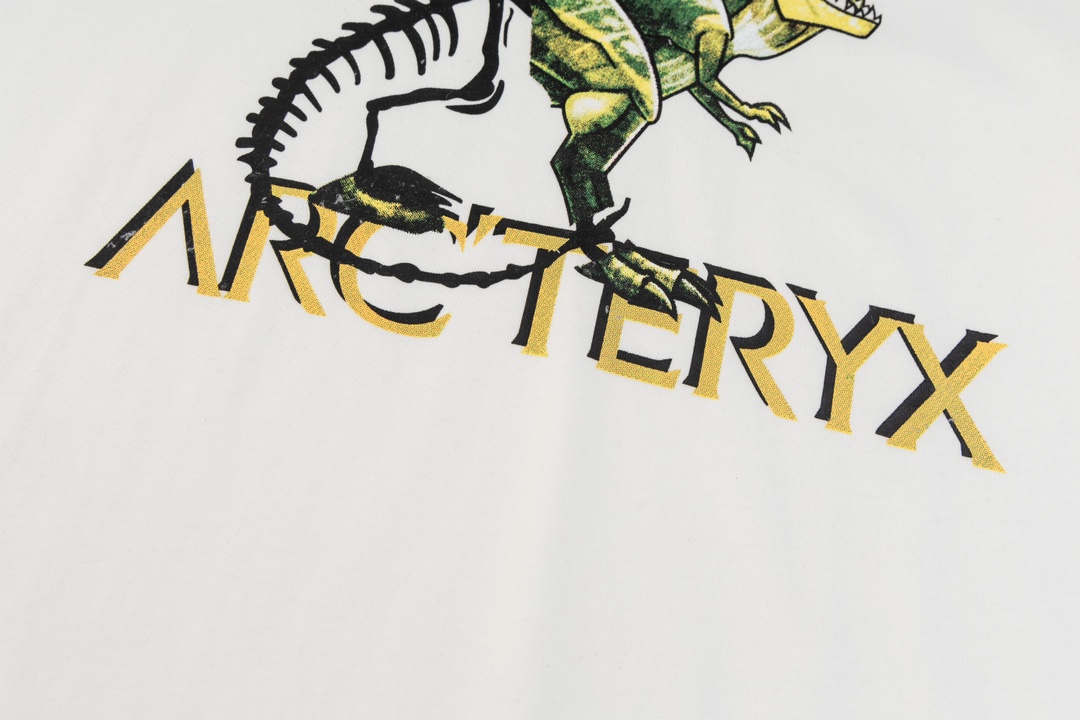 Ayc Teryx Original Bird T-shirt: High-End Fabric, Dragon Motion Logo, 2024FW Collection. - 图片 5