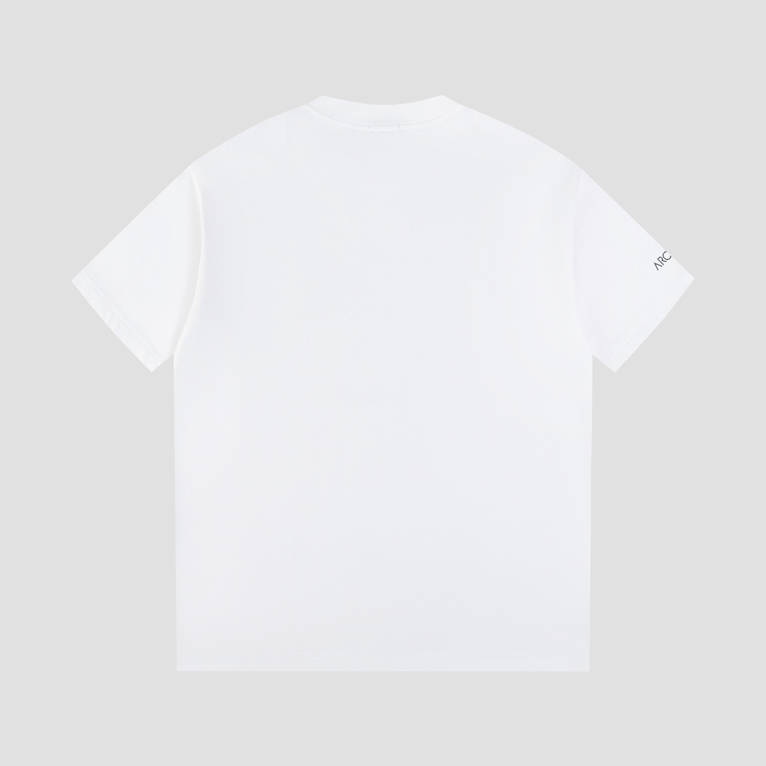 Ayc Teryx Original Bird T-shirt: High-End Fabric, Dragon Motion Logo, 2024FW Collection. - 图片 2