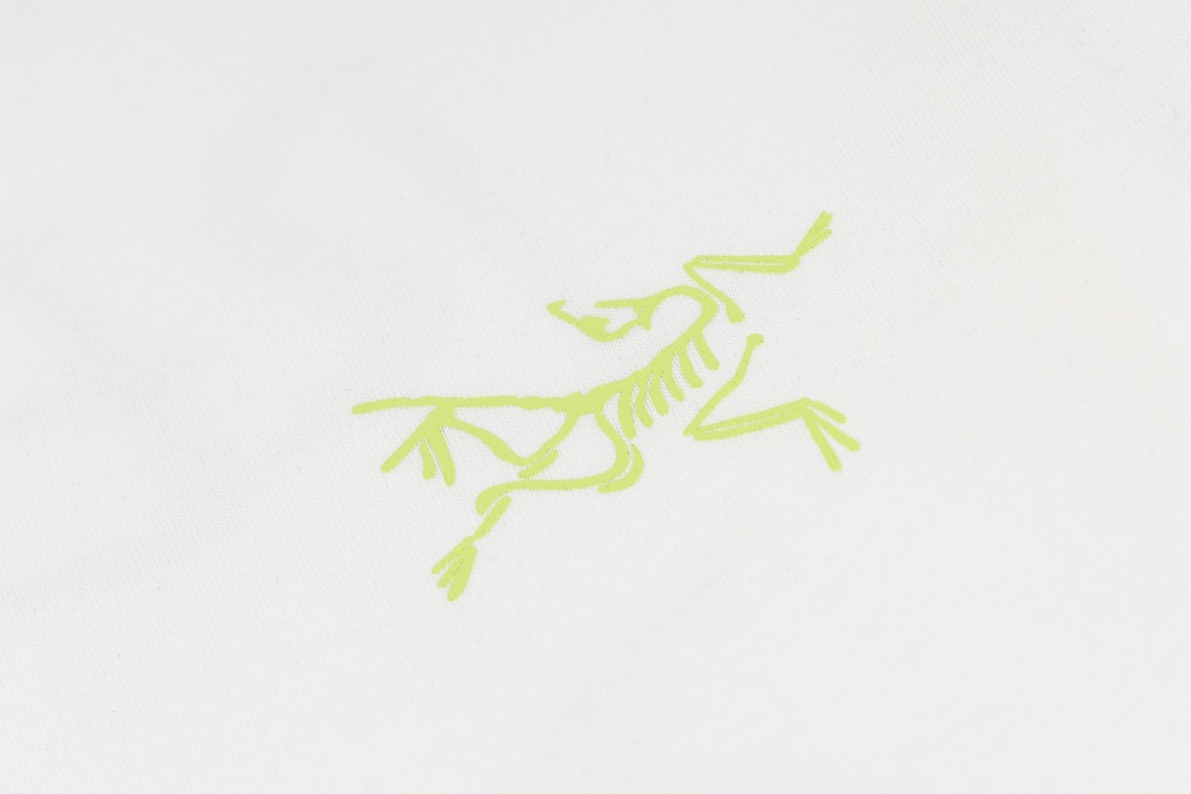 Ayc Teryx 2024FW Short Sleeves T-shirts with Bird Letters Logo Night-Print - 图片 5