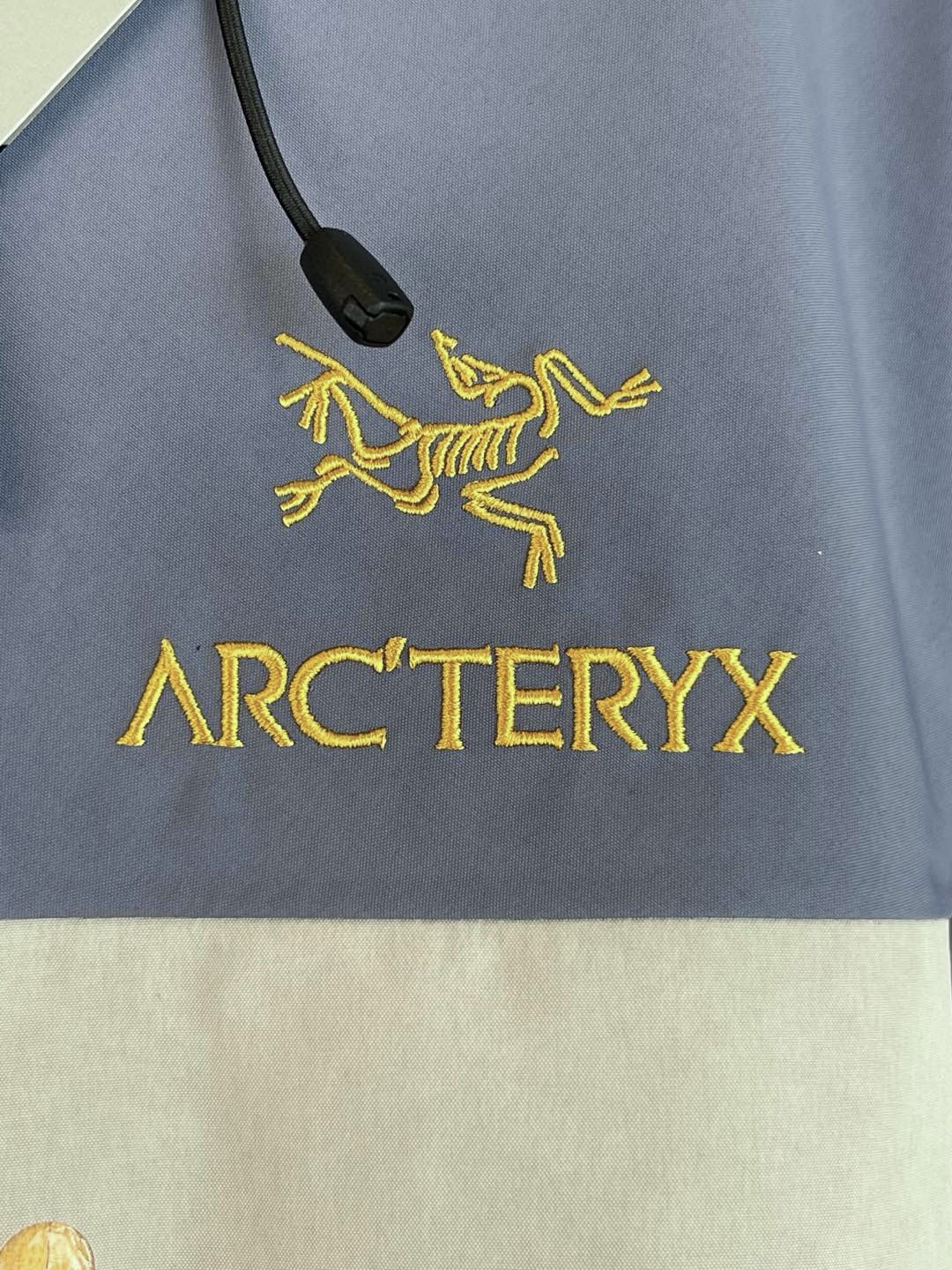 Arc'teryx Snake-Embroidered Technical Jacket | Lightweight & Weather-Resistant 6 i1735221253 9781 2