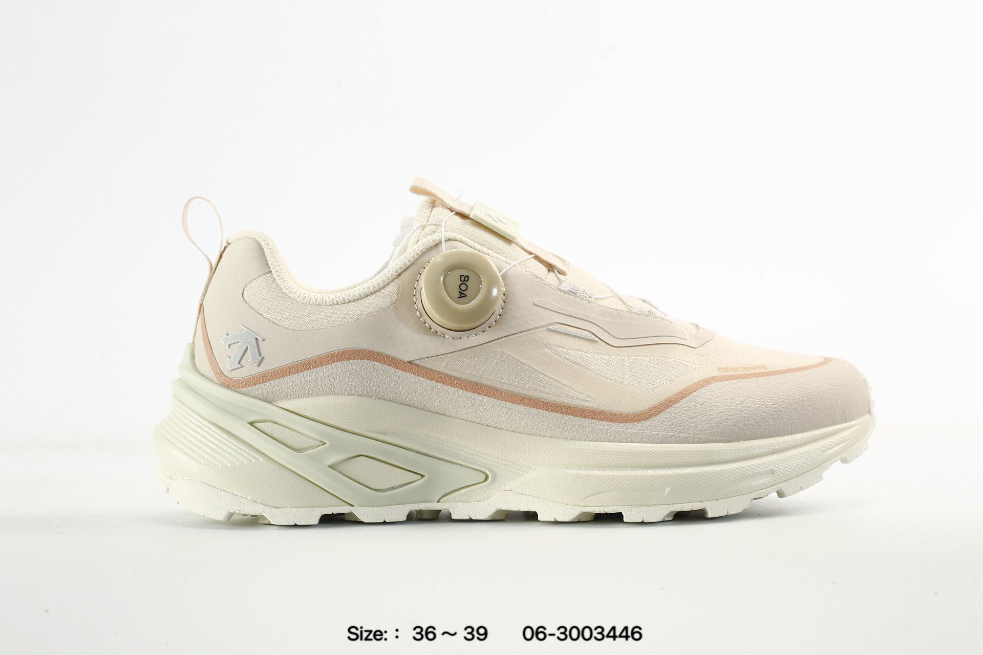 Descente Enerzite Mtn Ridge Wire Laytate3.0 GTX – D6132RRN02