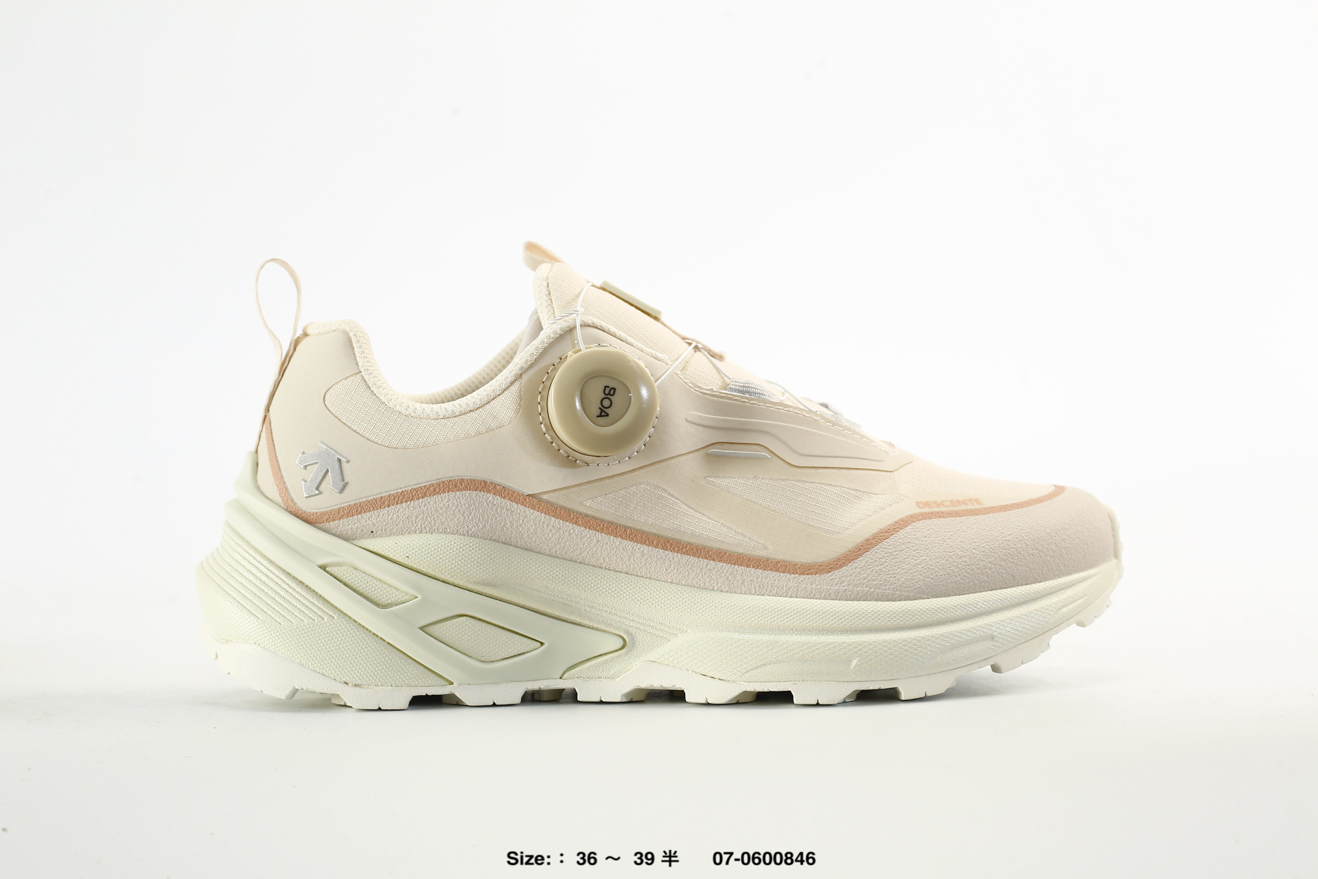Descente Enerzite Mtn Ridge Wire Laytate3.0 GTX – D6132RRN02