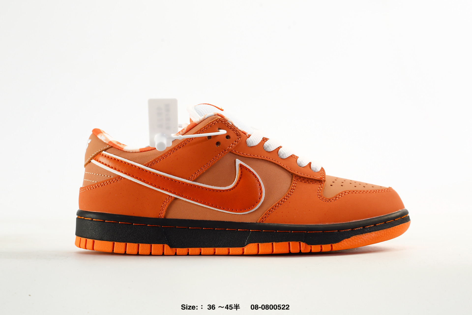Nike SB Dunk Low Sole – 313170-342