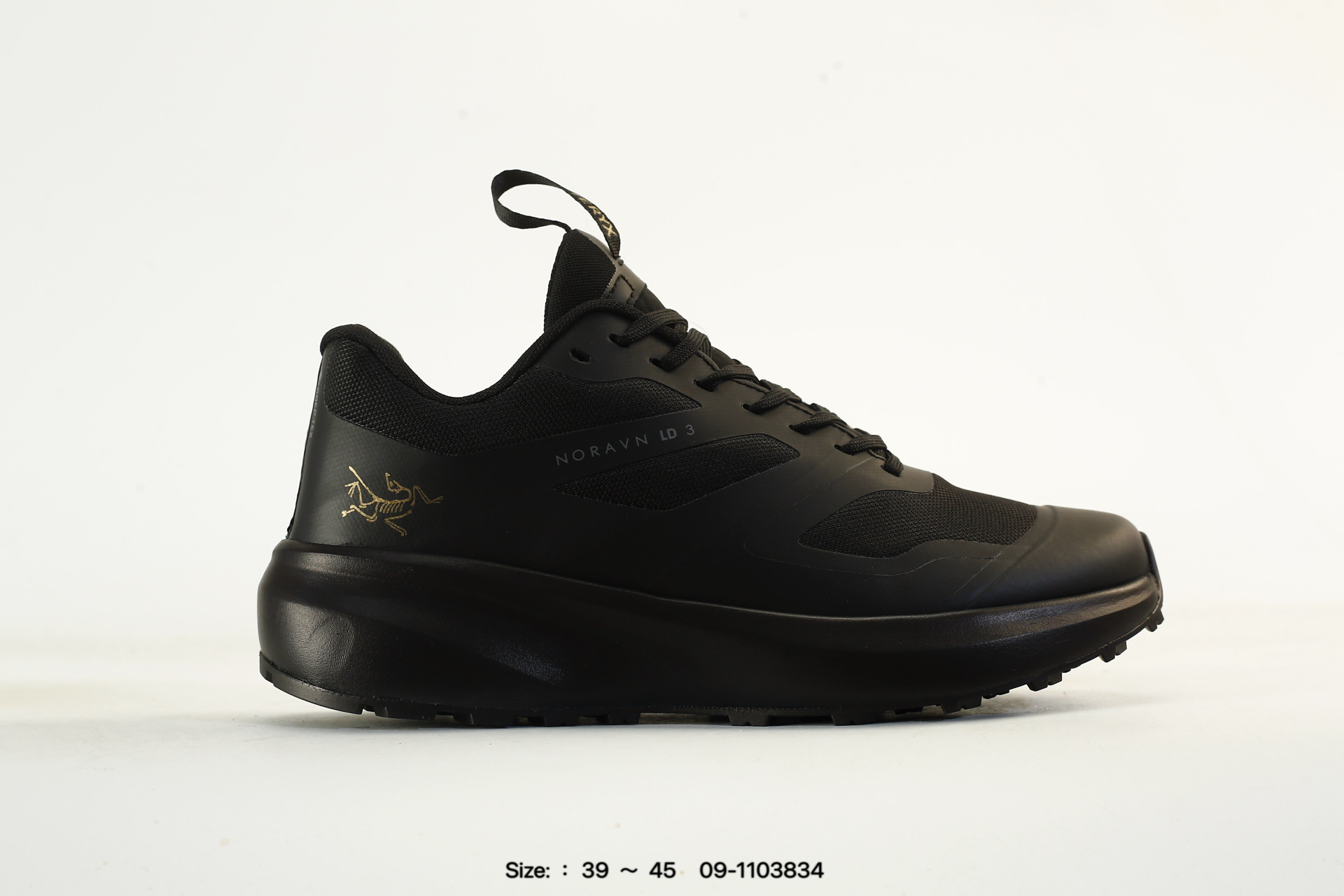Arcteryx Norvan LD 3 Gtx M, photo 2