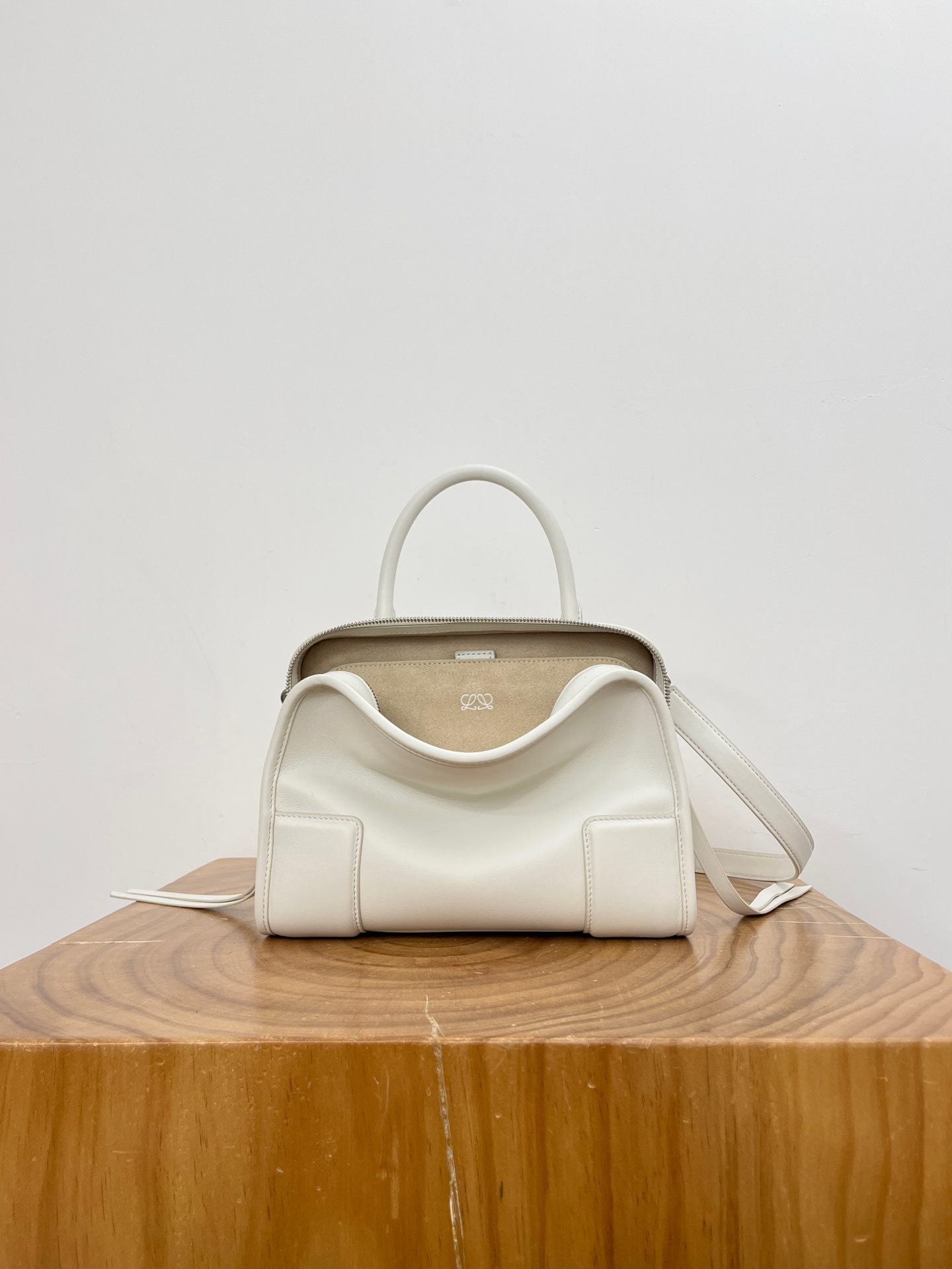 Сумка Loewe Small Amazona 180