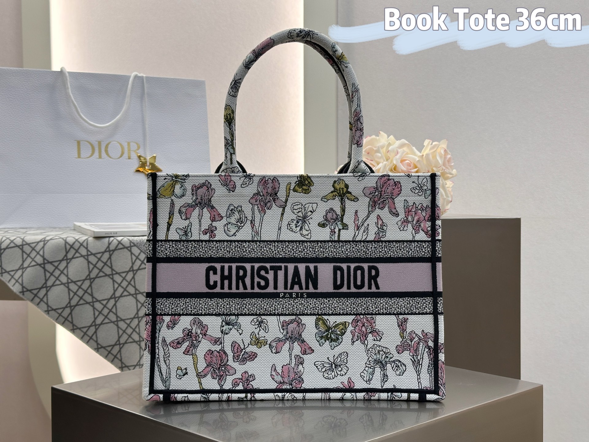 𝗗𝗶𝗼𝗿𝐢𝐯𝐢𝐞𝐫𝐚 𝗕𝗼𝗼𝗸 𝗧𝗼𝘁𝗲 中号托特❗最新款的𝐵𝑜𝑜𝑘 𝑡𝑜𝑡𝑒首发！！彩虹蝴蝶托特中号现