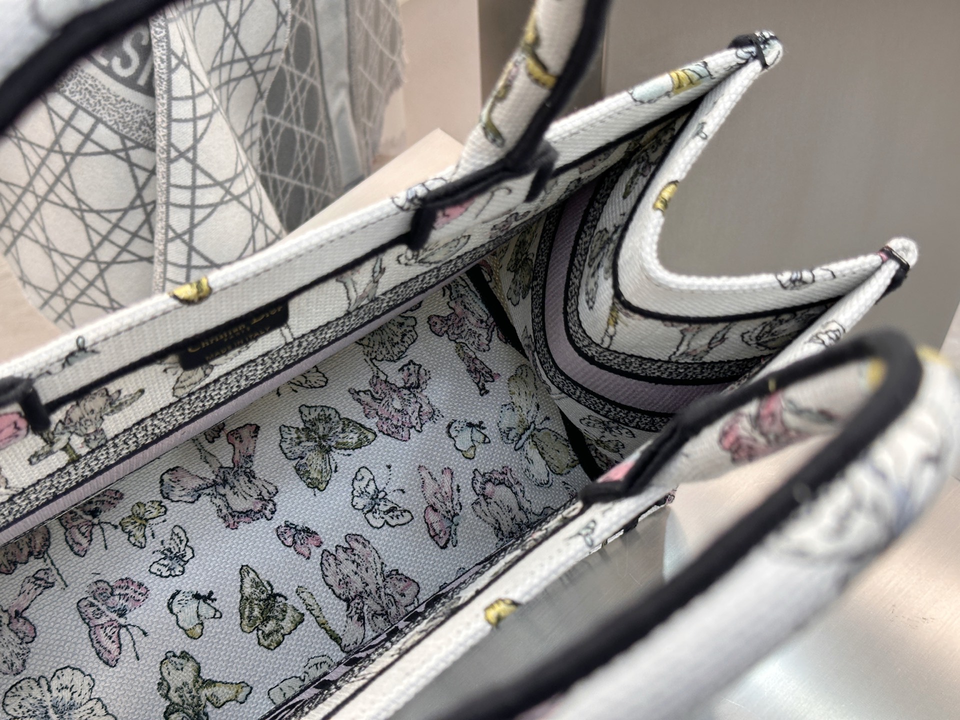 𝗗𝗶𝗼𝗿𝐢𝐯𝐢𝐞𝐫𝐚 𝗕𝗼𝗼𝗸 𝗧𝗼𝘁𝗲 中号托特❗最新款的𝐵𝑜𝑜𝑘 𝑡𝑜𝑡𝑒首发！！彩虹蝴蝶托特中号现