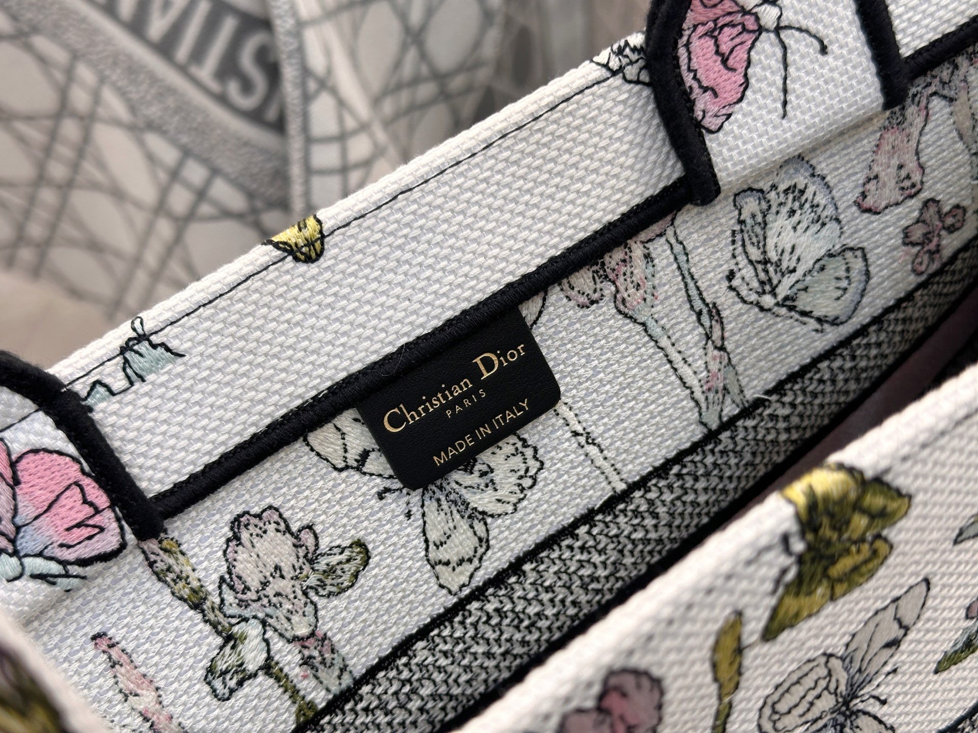 𝗗𝗶𝗼𝗿𝐢𝐯𝐢𝐞𝐫𝐚 𝗕𝗼𝗼𝗸 𝗧𝗼𝘁𝗲 中号托特❗最新款的𝐵𝑜𝑜𝑘 𝑡𝑜𝑡𝑒首发！！彩虹蝴蝶托特中号现