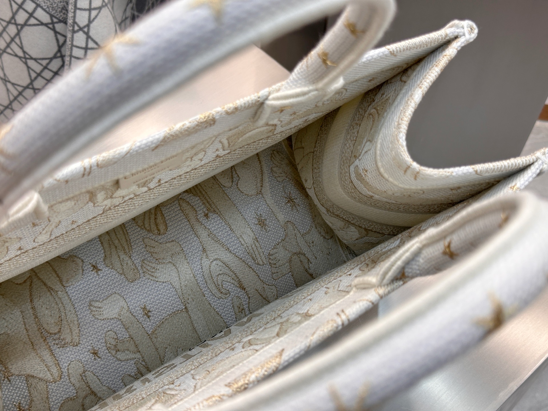 𝗗𝗶𝗼𝗿 𝗕𝗼𝗼𝗸 𝗧𝗼𝘁𝗲 新款中号托特❗最新款的𝐵𝑜𝑜𝑘 𝑡𝑜𝑡𝑒首发！！白金动物中号现货🔥太美了！