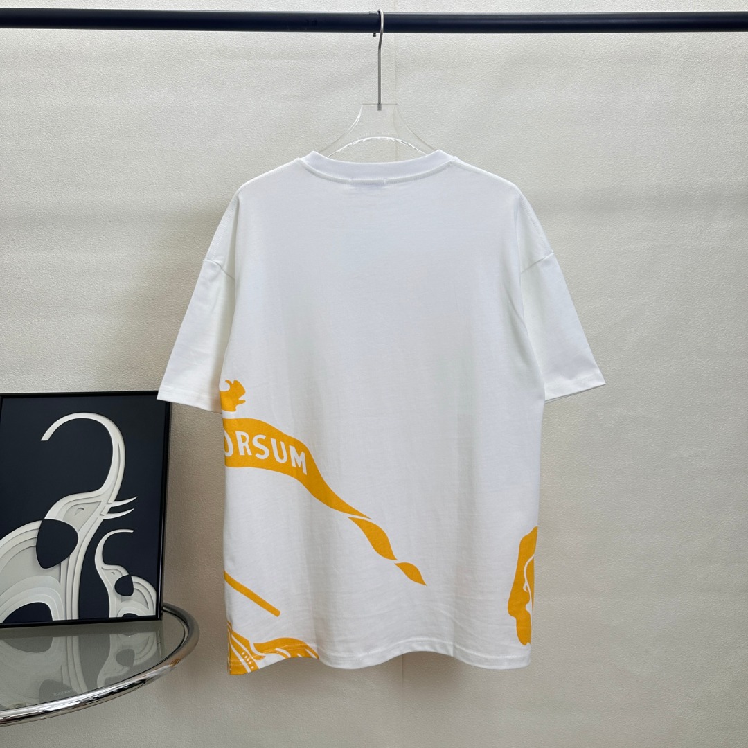 💰90（顶级版本 区别通货）

款式：巴宝莉BBR大LOGO战马短袖

颜色：图片色

尺码：S-XL

面料：300克双织纯棉

辅料：全套定制辅料

无性别区分 男女同款
