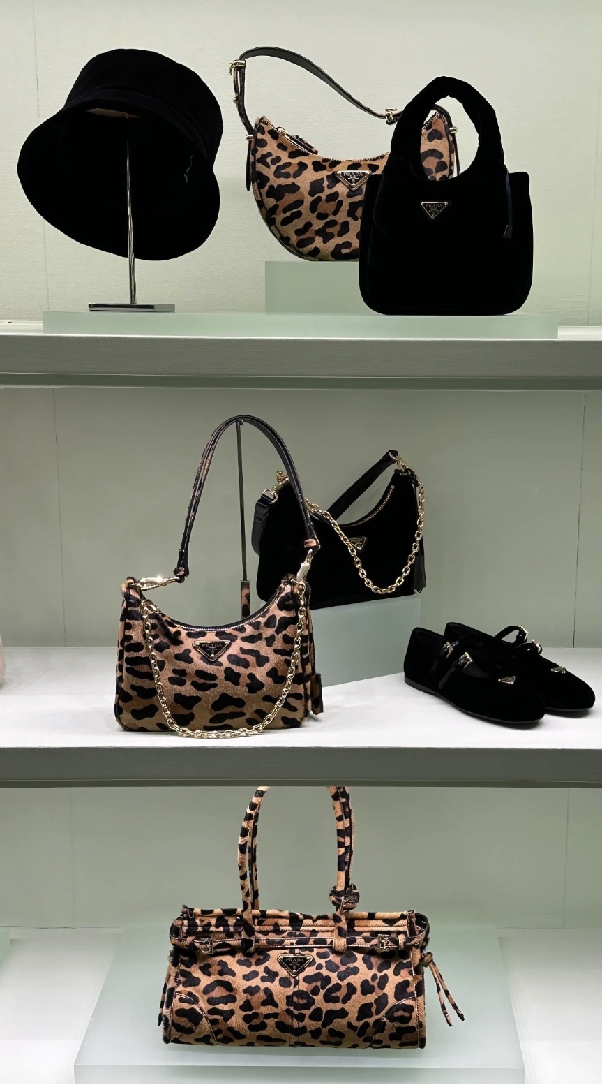 Prada What you are looking for this winter