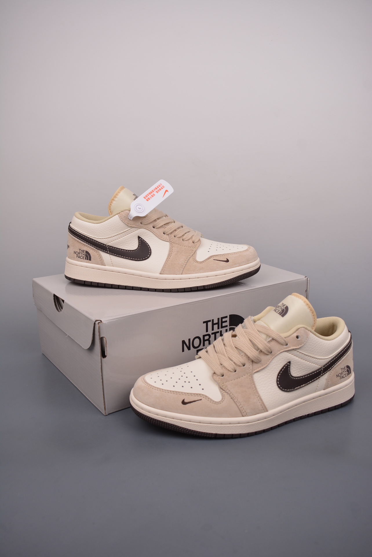 Nike Jordan Air Jordan 1 北面联名 5