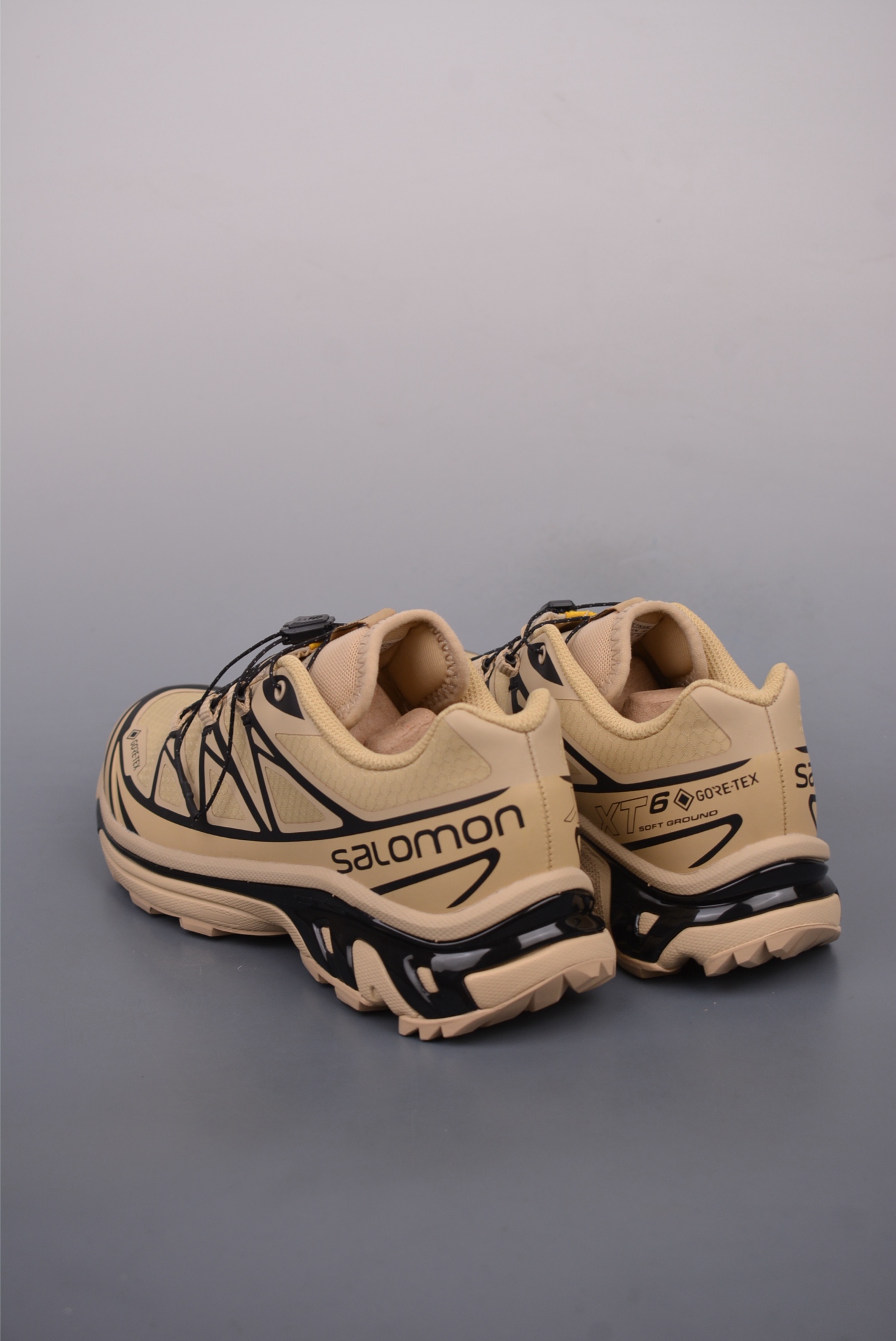 [Salomon Series]