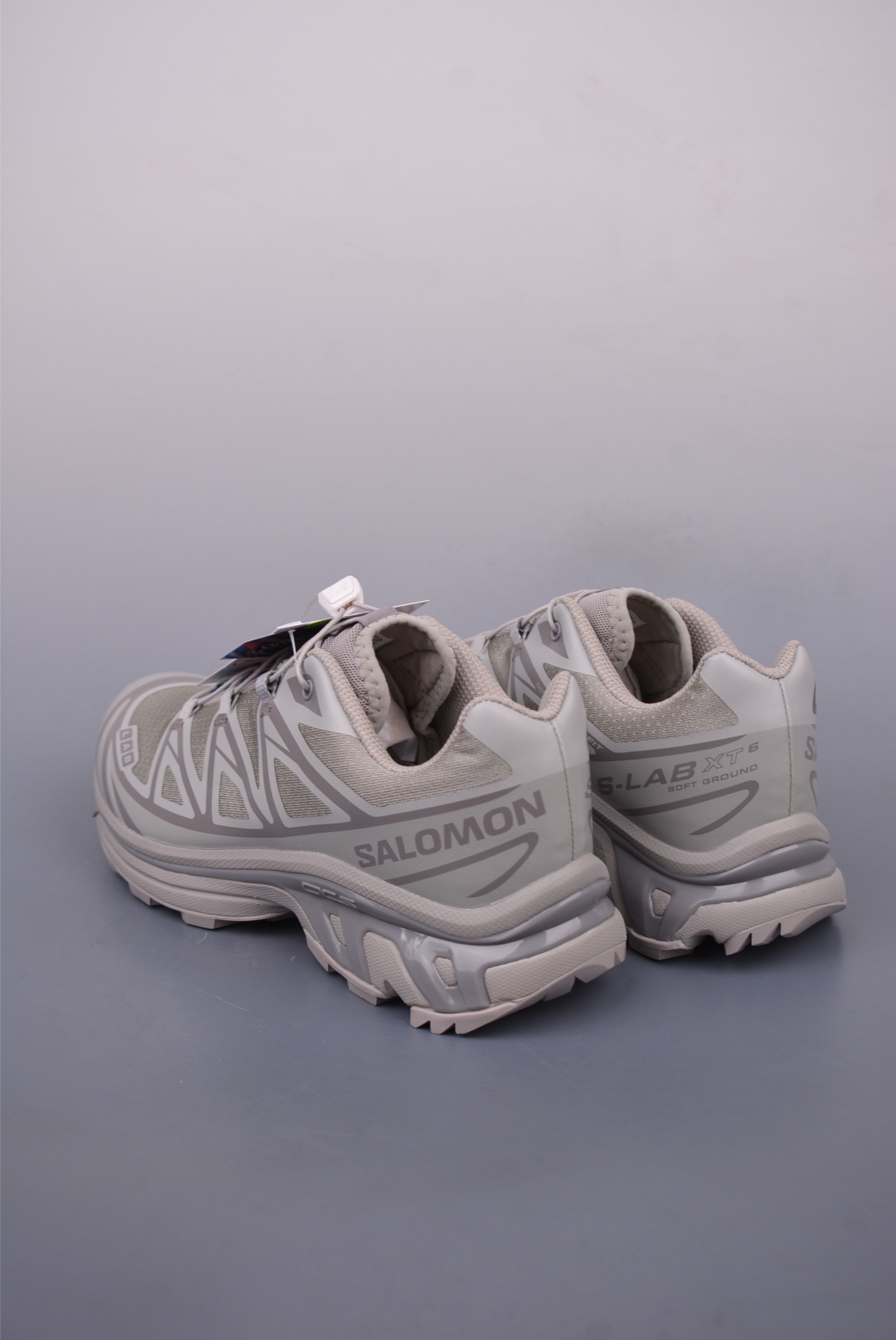 [Salomon Series]