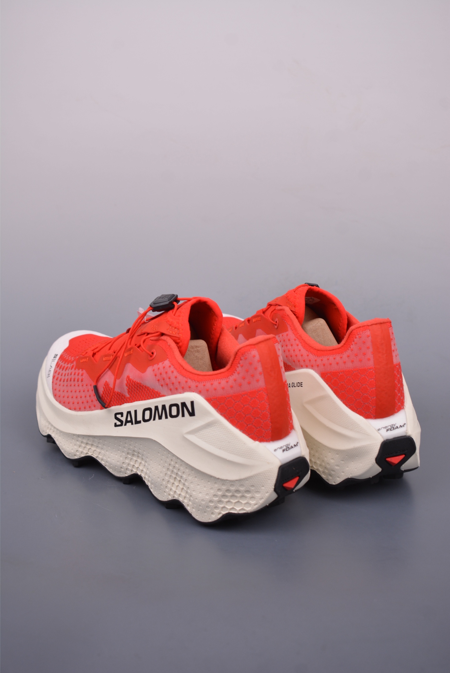 [Salomon Series]