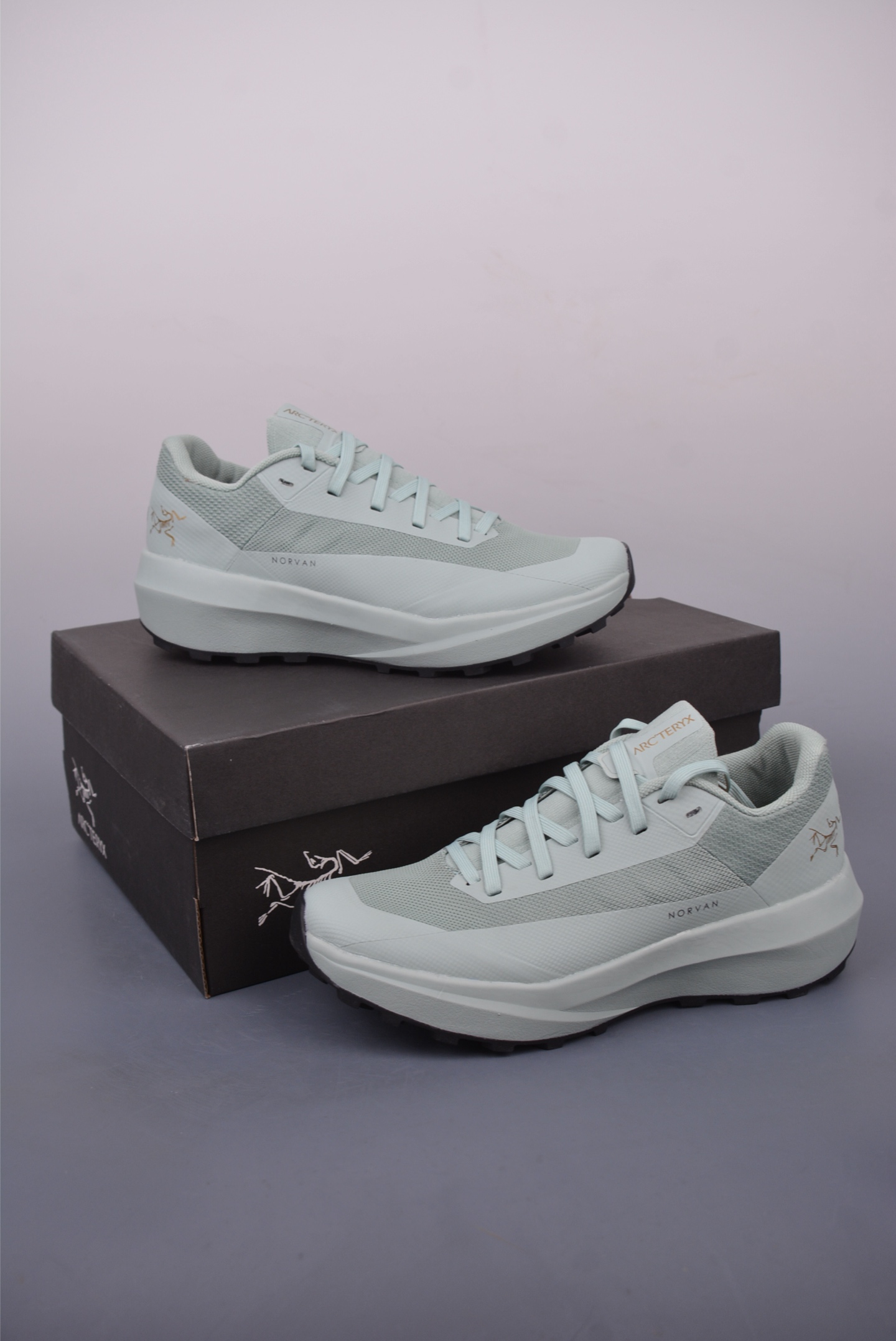 Arc'teryx Norvan LD 4 GTX Trail Running Shoes - Lightweight & Durable Design 5 i1747941755993 295 0 4