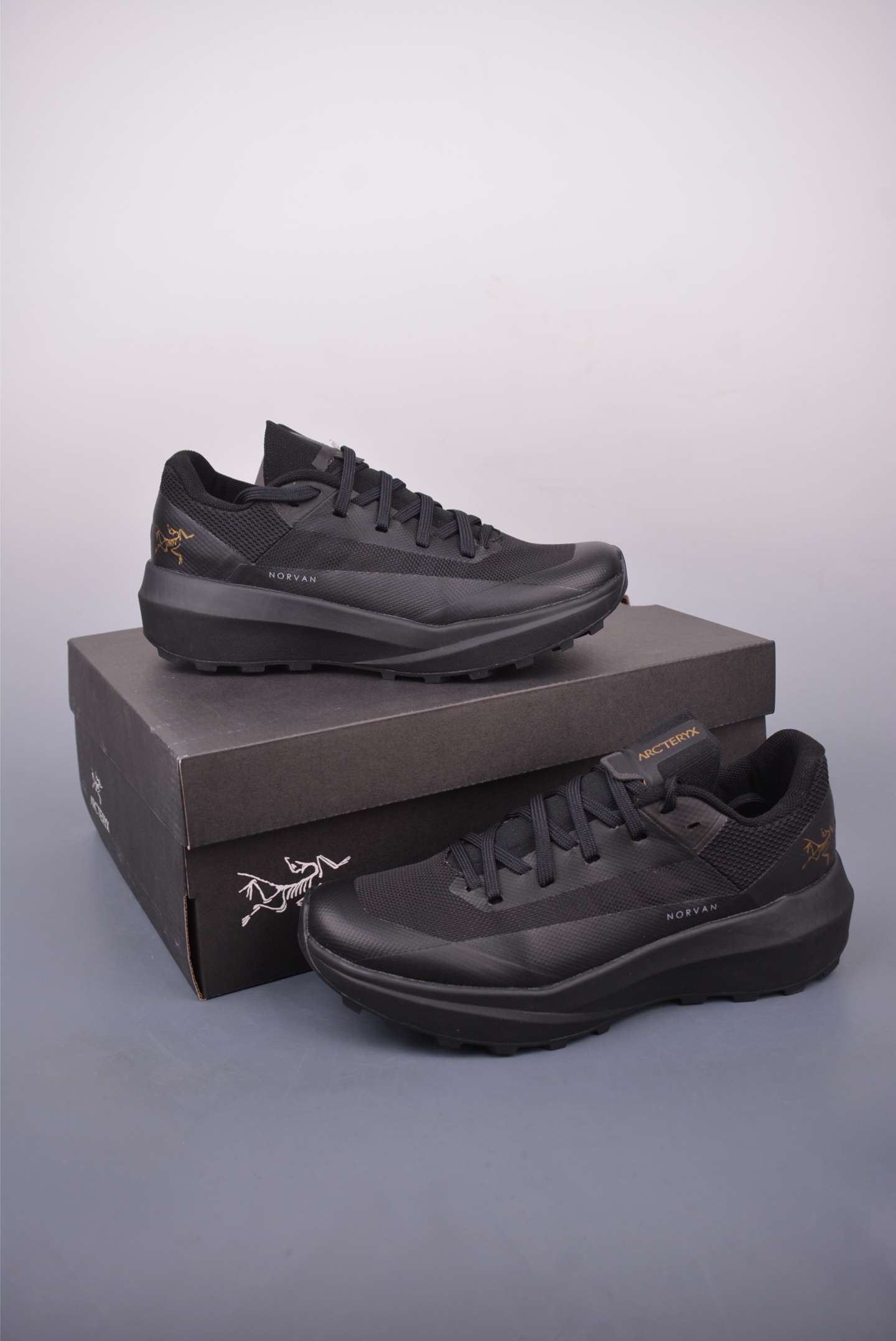 Arc'teryx Norvan LD 4 GTX Trail Running Shoe - Lightweight & Durable 5 i1747941813642 6030 0 4