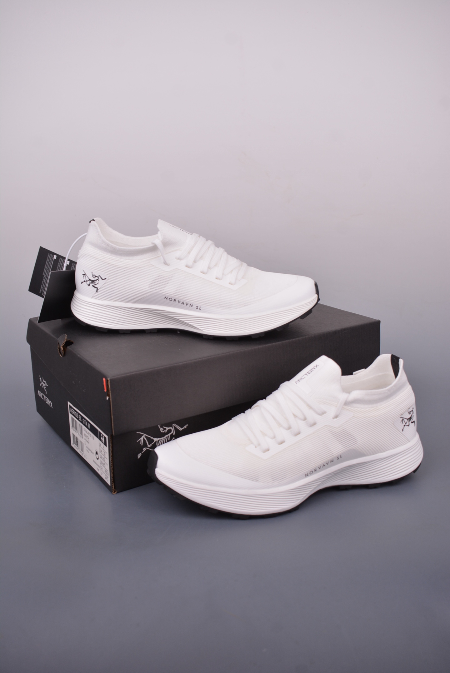Arc'teryx Aerios FL GTX Trail Running Shoes - Breathable Comfort, White 1 i1748980858274 3166 0 0