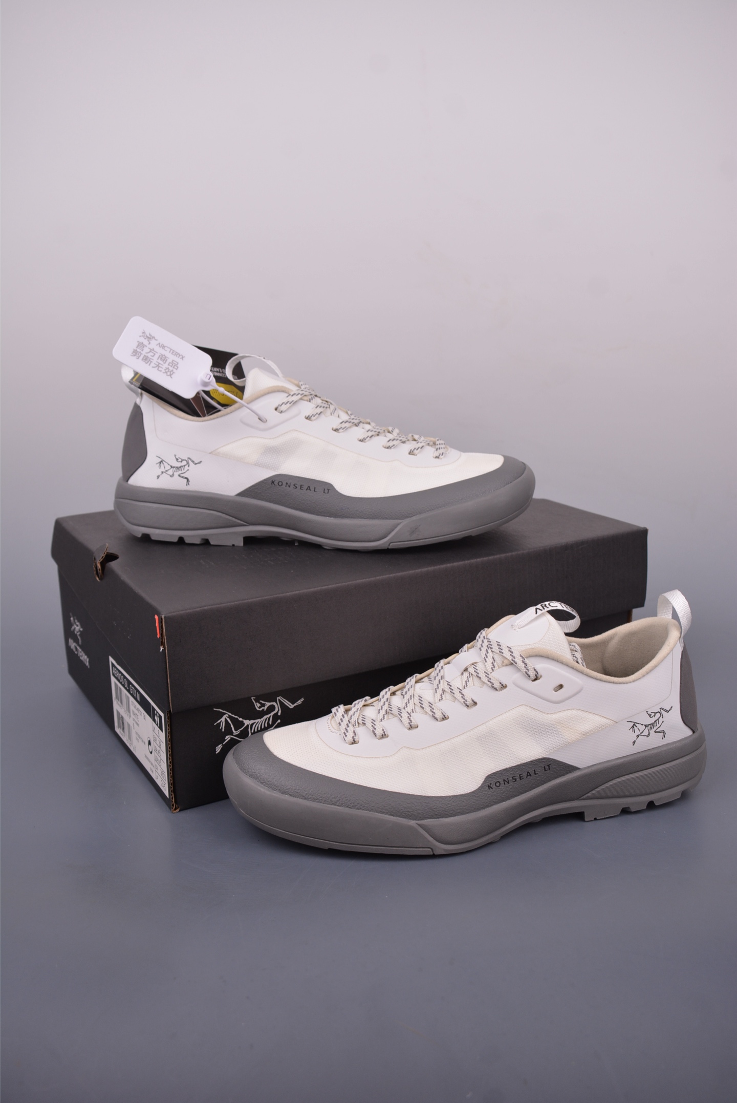 Arc'teryx Aerios FL GTX Trail Running Shoes - Breathable Comfort, White 5 i1748980866139 5810 0 4