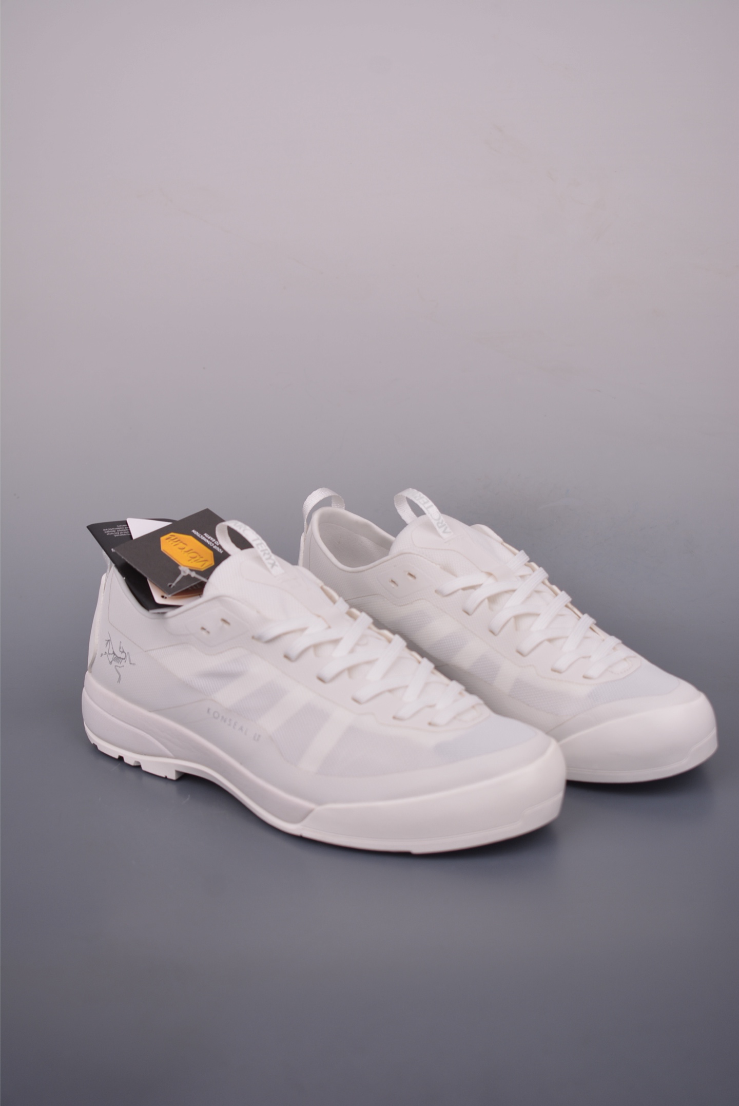 Arcteryx Aerios FL GTX Trail Running Shoes - Breathable & Lightweight 2 i1752792421268 1912 0 0