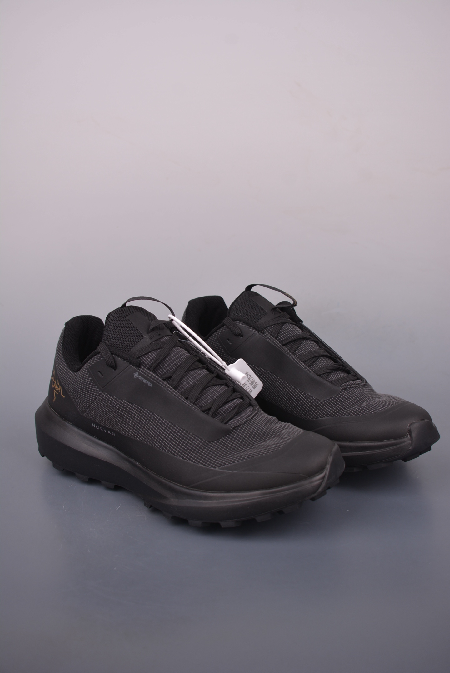 Arc'teryx Norvan GTX Trail Running Shoes - Breathable and Durable for Men 2 i1755123900662 3464 0 0