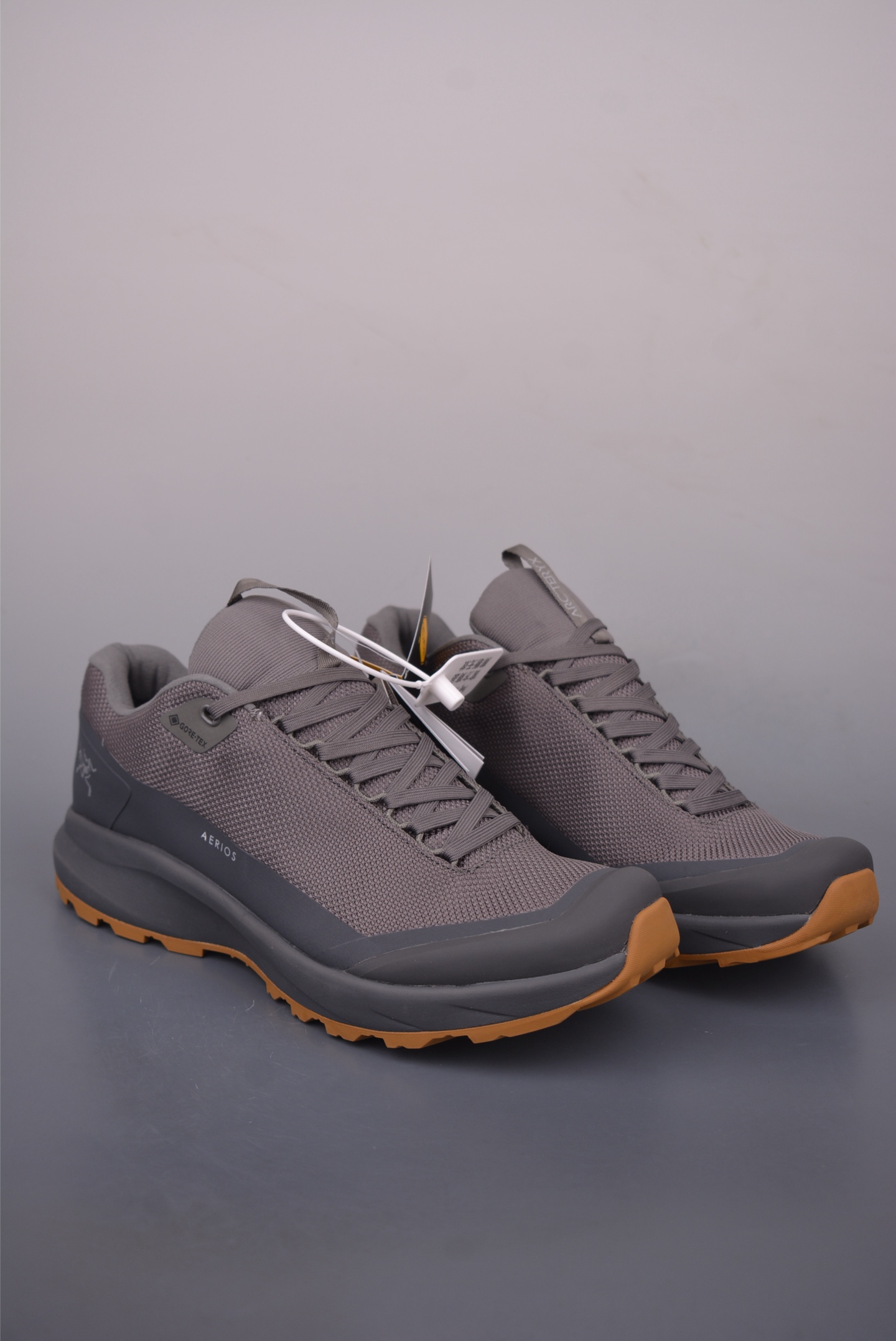 Arc'teryx Aerios FL GTX Trail Running Shoes - Breathable & Lightweight 1 i1758844483878 2182 0 0