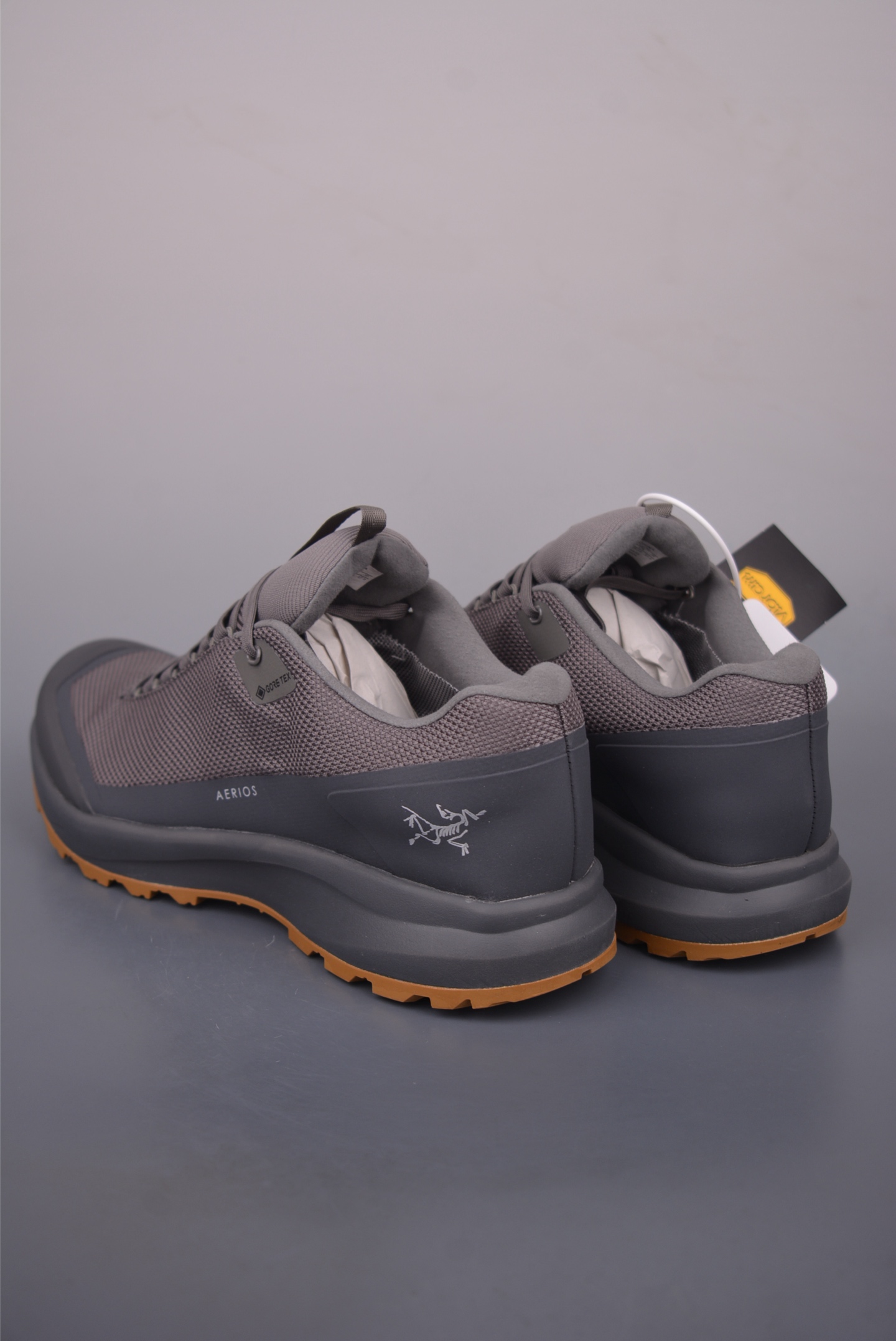 Arc'teryx Aerios FL GTX Trail Running Shoes - Breathable & Lightweight 2 i1758844483883 4073 0 1
