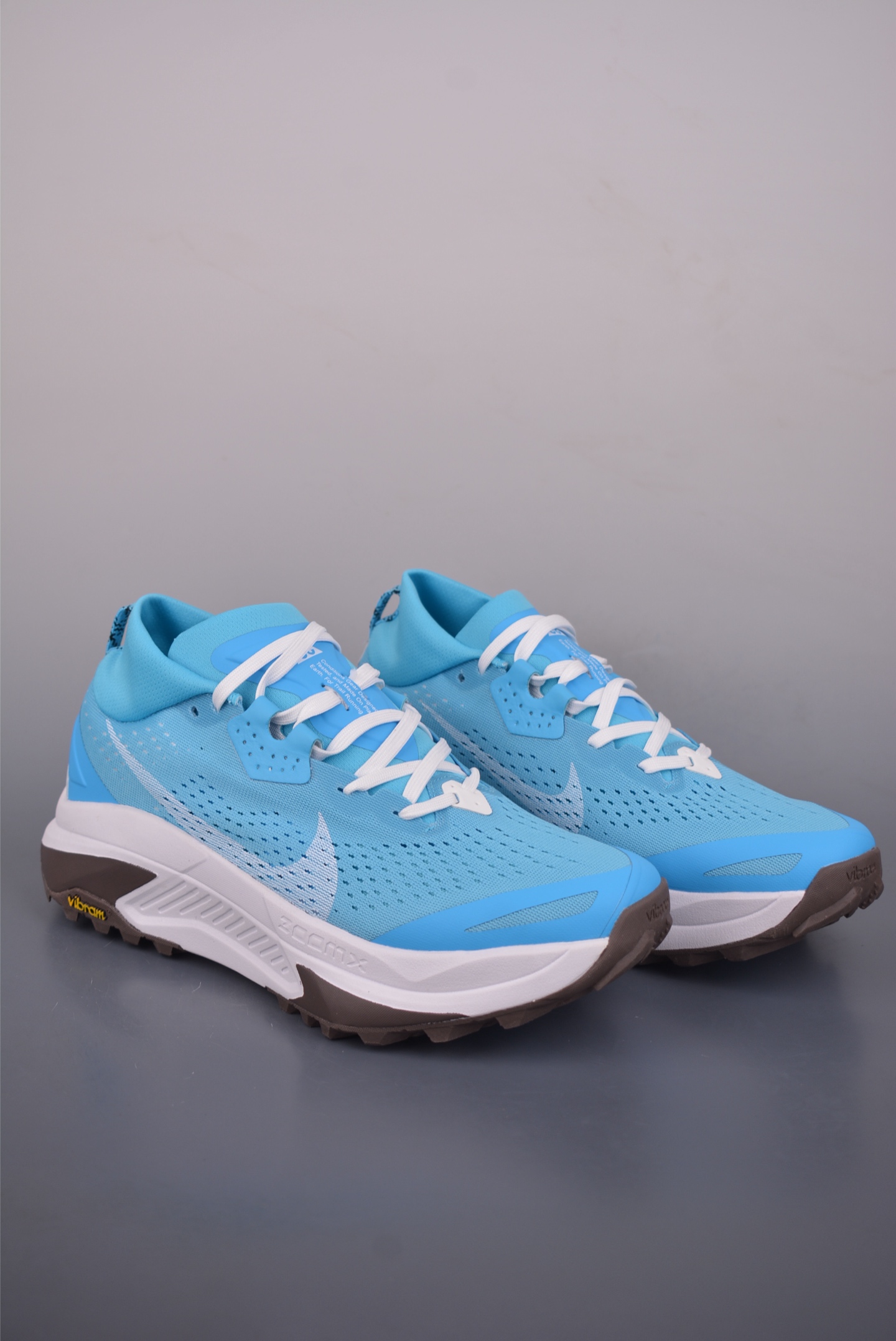 Nike REACTX PEGASUS TRAIL 6 Next Nature 越野跑步鞋 HV8119-400 Nike REACTX PEGASUS TRAIL 6 Next Nature 越野跑步鞋 HV8119-400