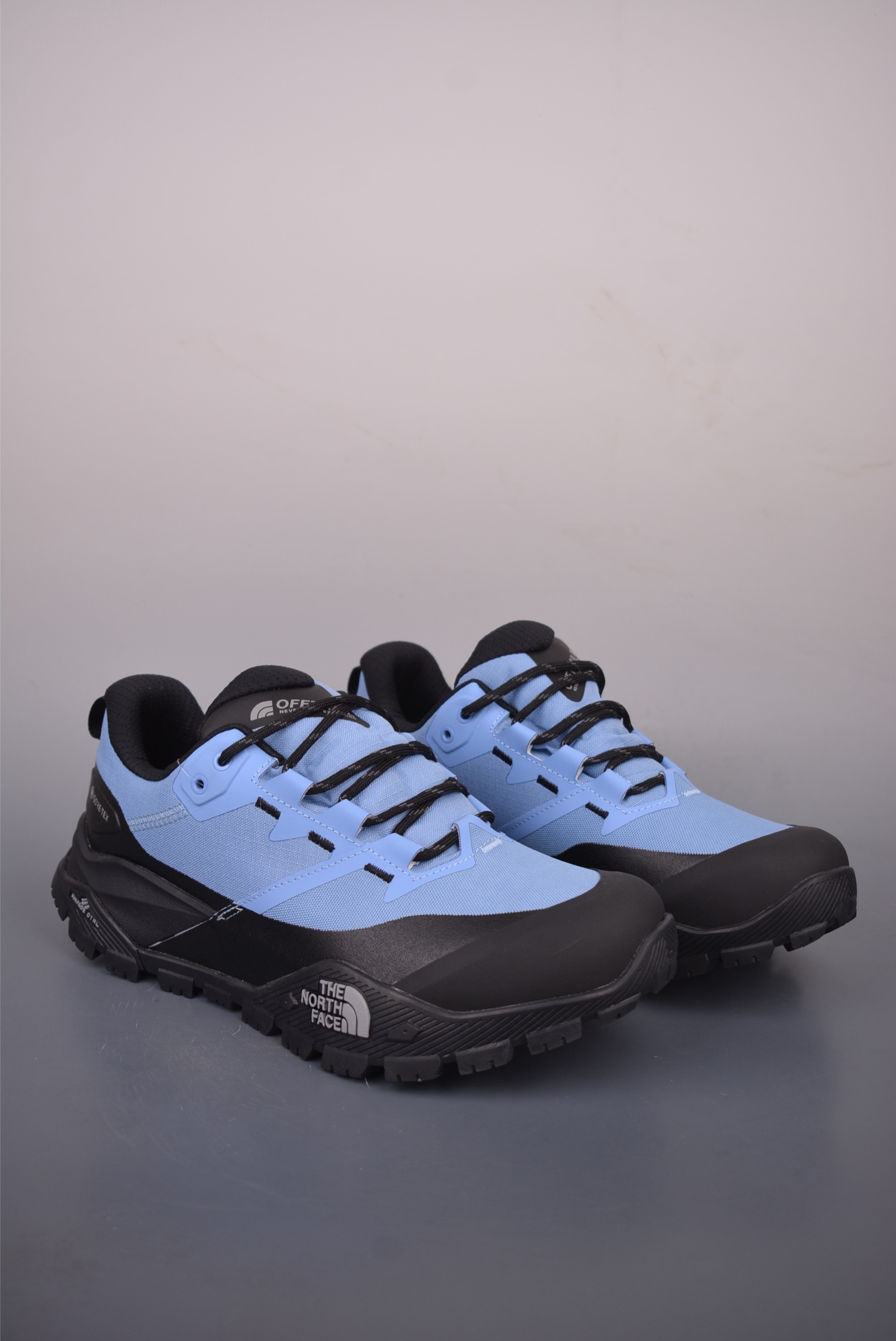 北面M VERTO ALPINE MID GORE-Tex 户外防水机能鞋 NF0A83EG23