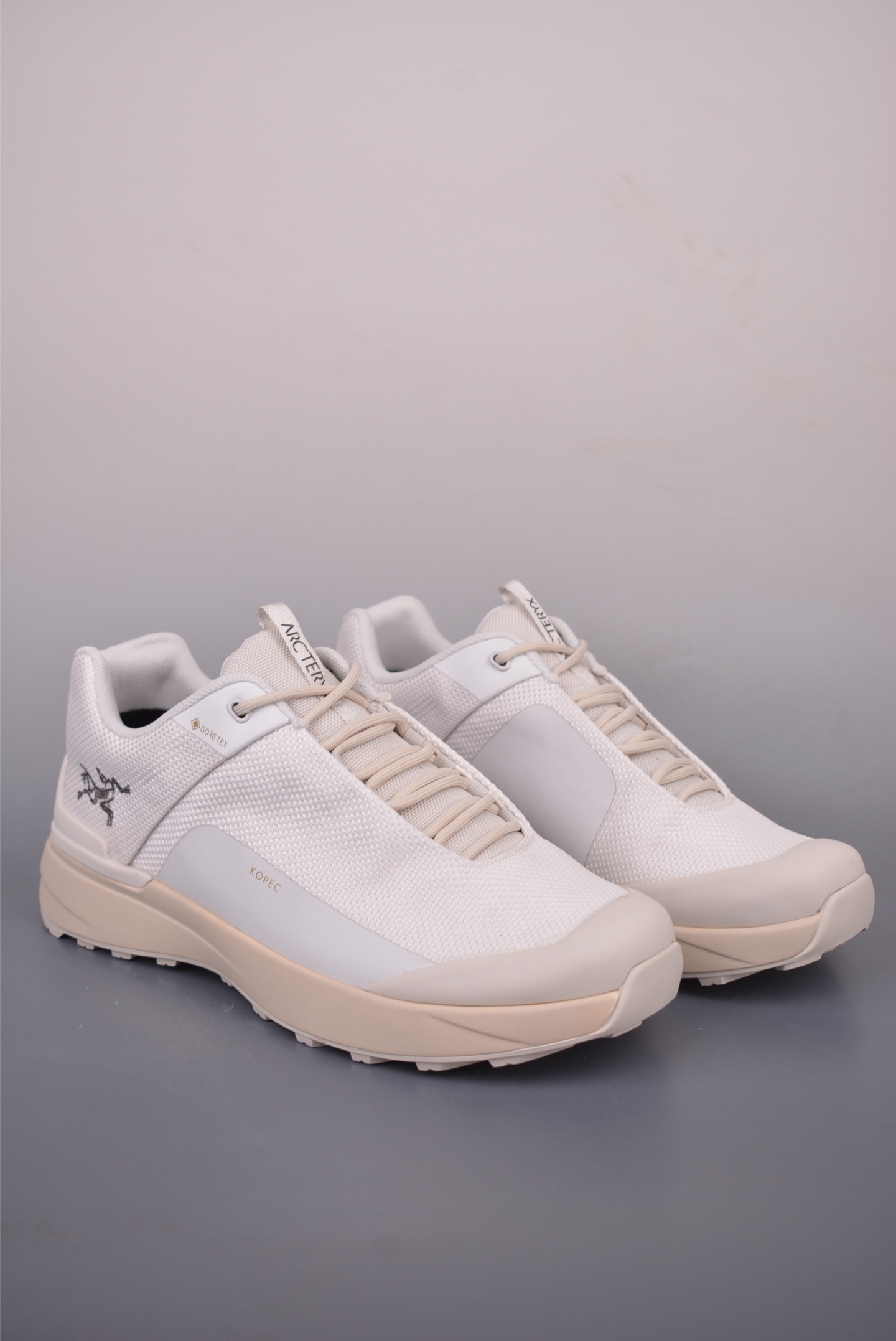 Кроссовки Arc'teryx