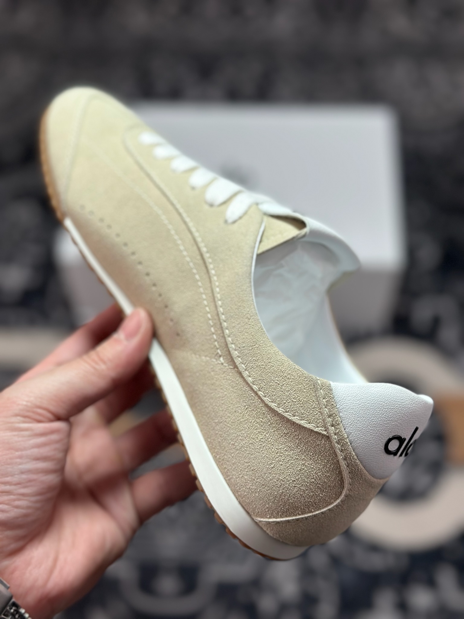 Alo Yoga Sunset Low Sneaker 日落系列低帮阿甘T头复古风德训薄底百搭休闲运动鞋麂皮