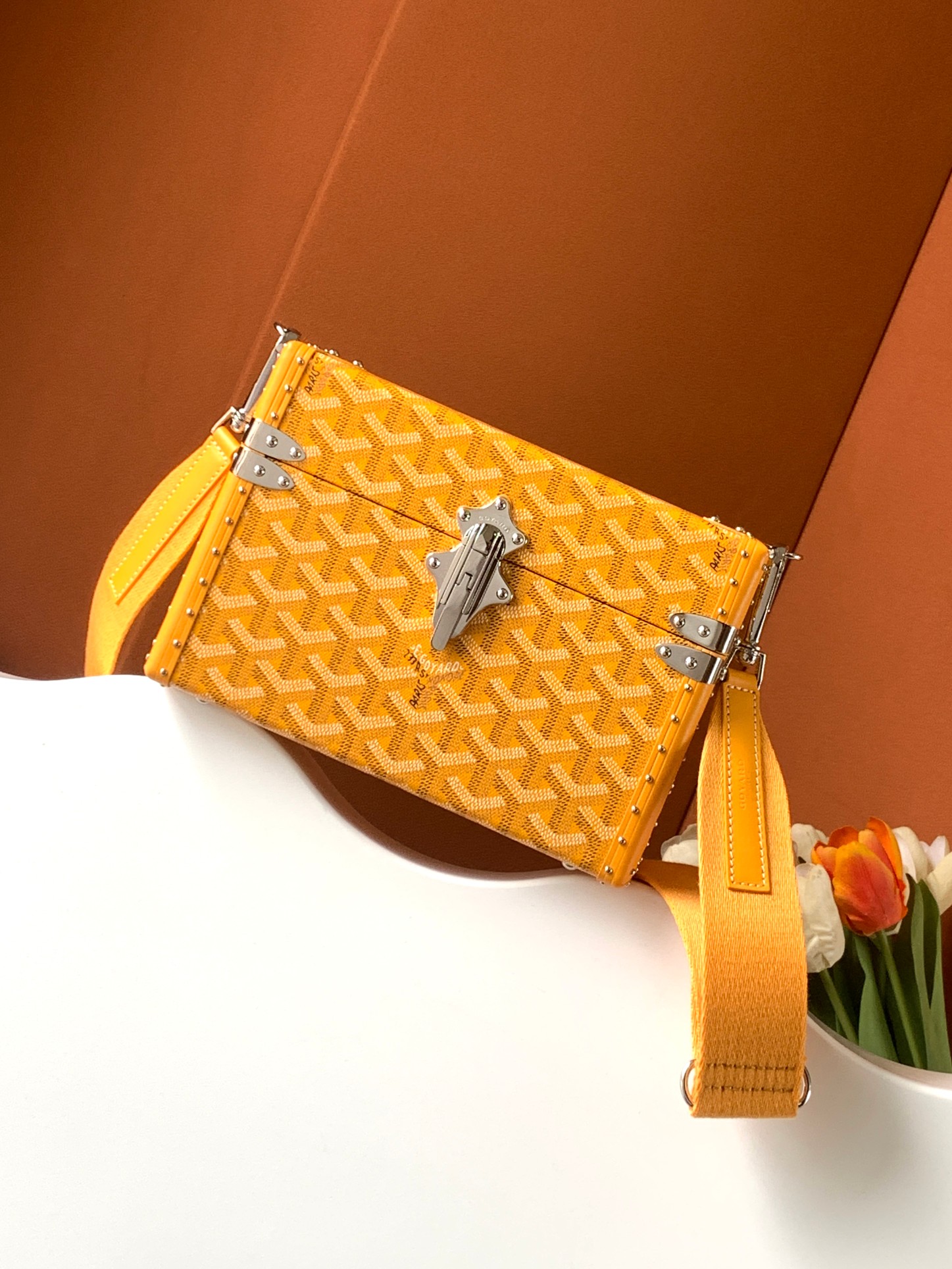 Goyard hard trunk box bag, poplar wood material, shoulder crossbody