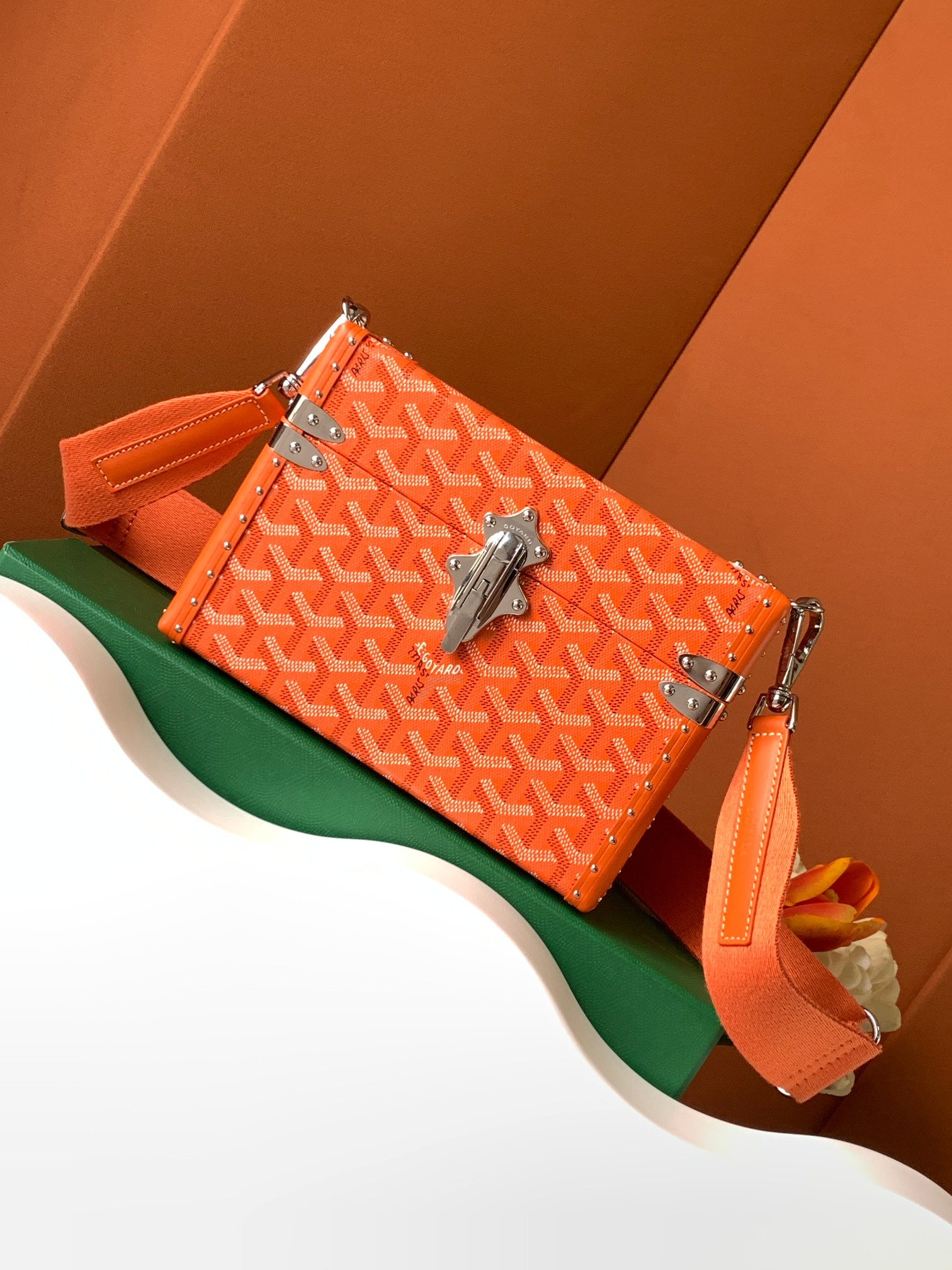 Goyard CASSETTE malle rigide fermoir bandoulière sac bandoulière