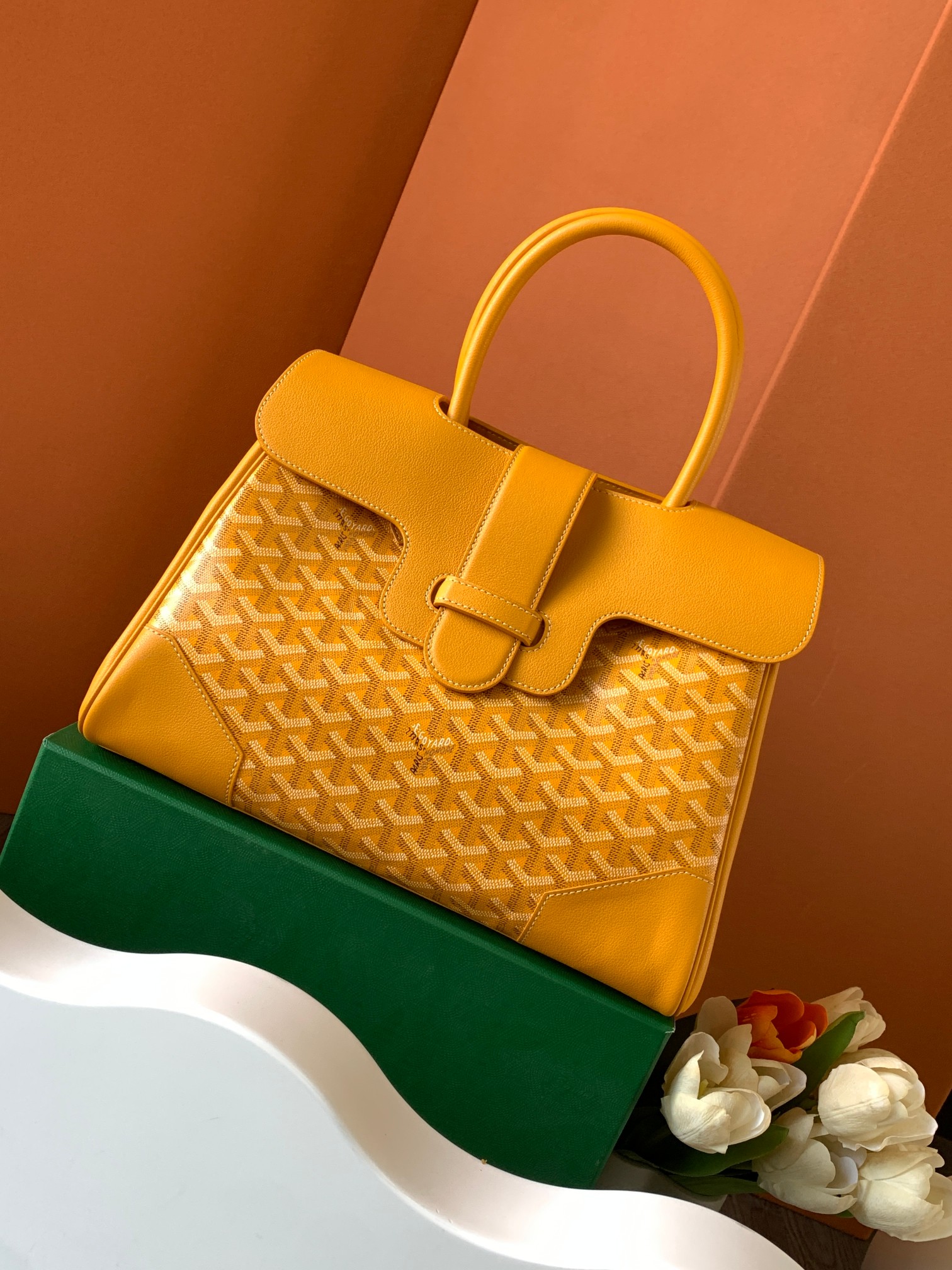 고야드 가방 77753 Goyard Bag