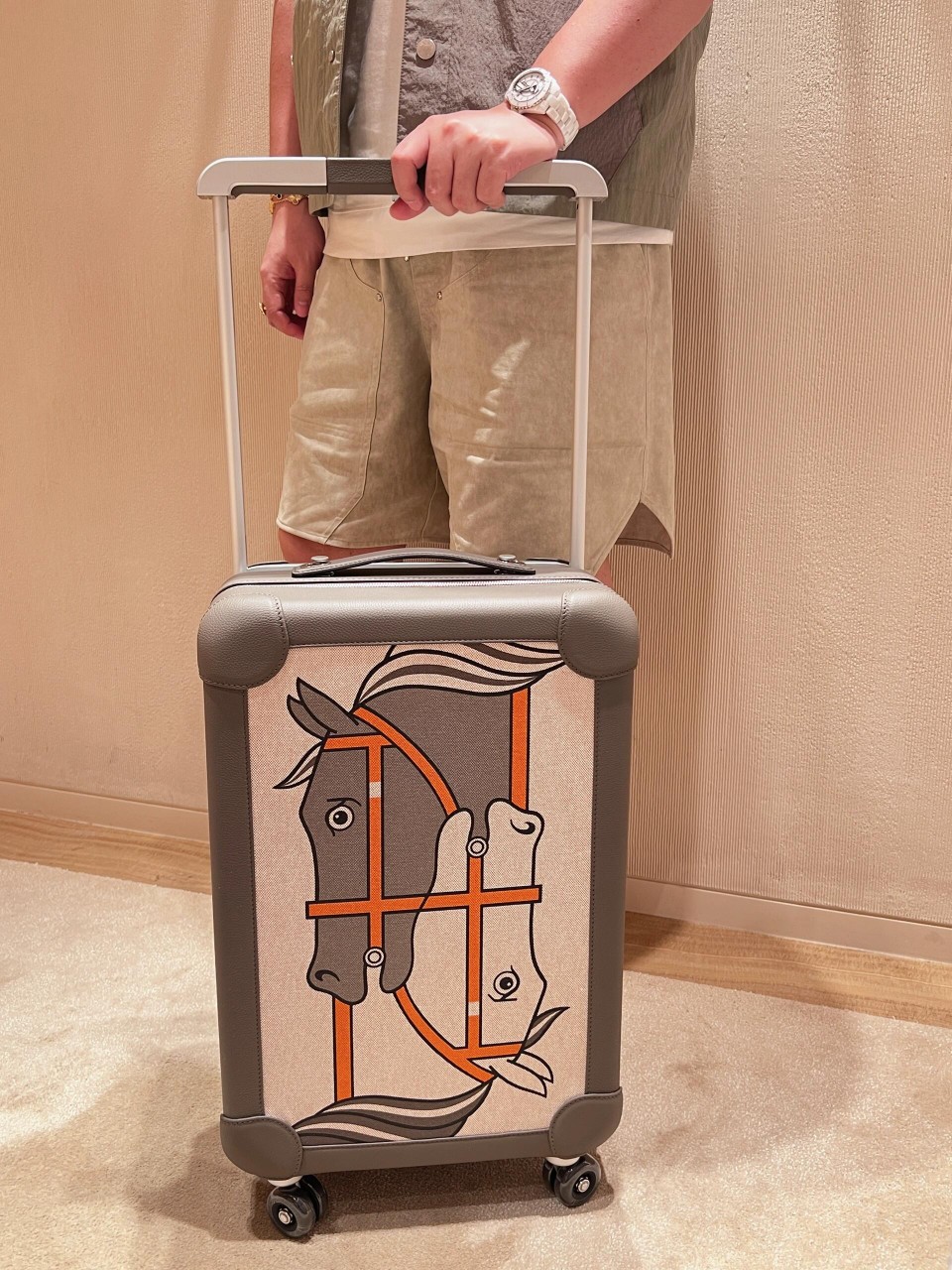 Yes, I purchased the 100,000 RMB Hermès suitcase - Comprehensive