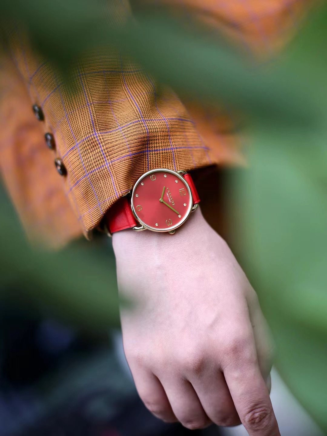Coach 2025 China Red Snake Year Limited Edition Watch ⬇️ - Watch 6