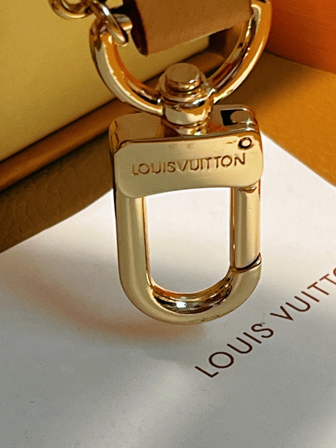 Glasses inside LOUIS VUITTON Glasses Case