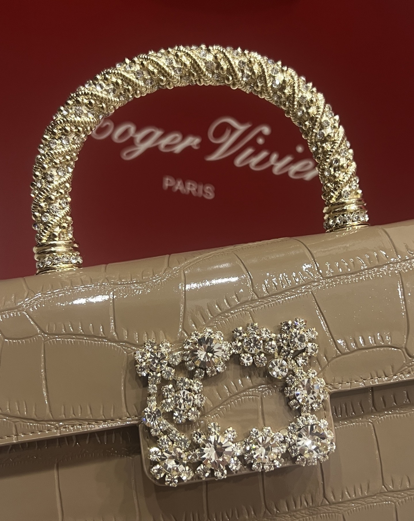“Roger Vividr Crystal Handbag: Cow Skin with Water Drills, Star Embossing, Acoustics” - 图片 7