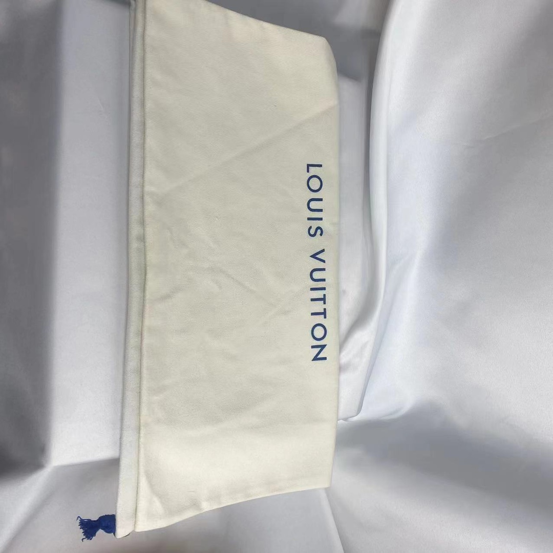 Handbag inside protective dust bag