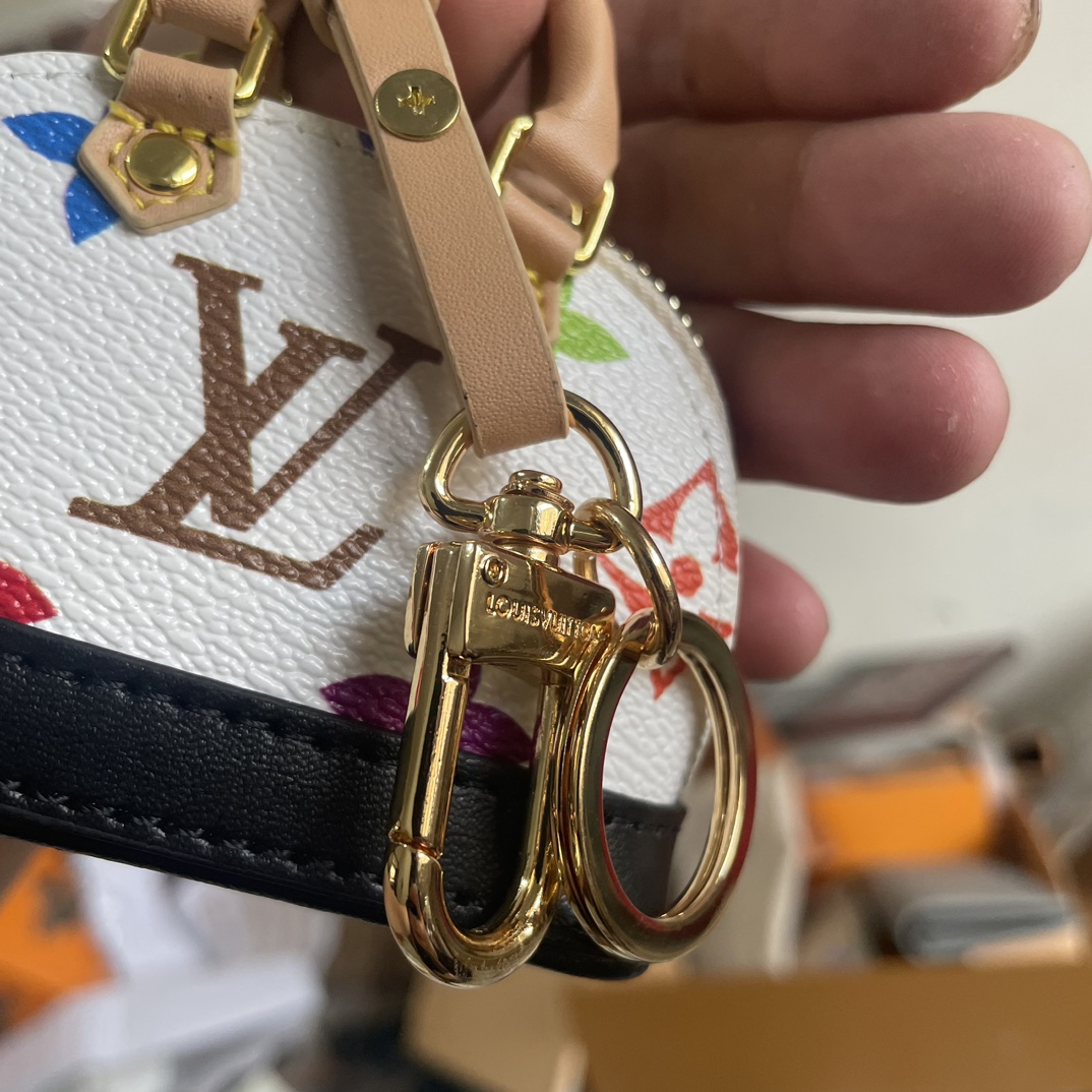 Mini Handbag Carrying the bag 4