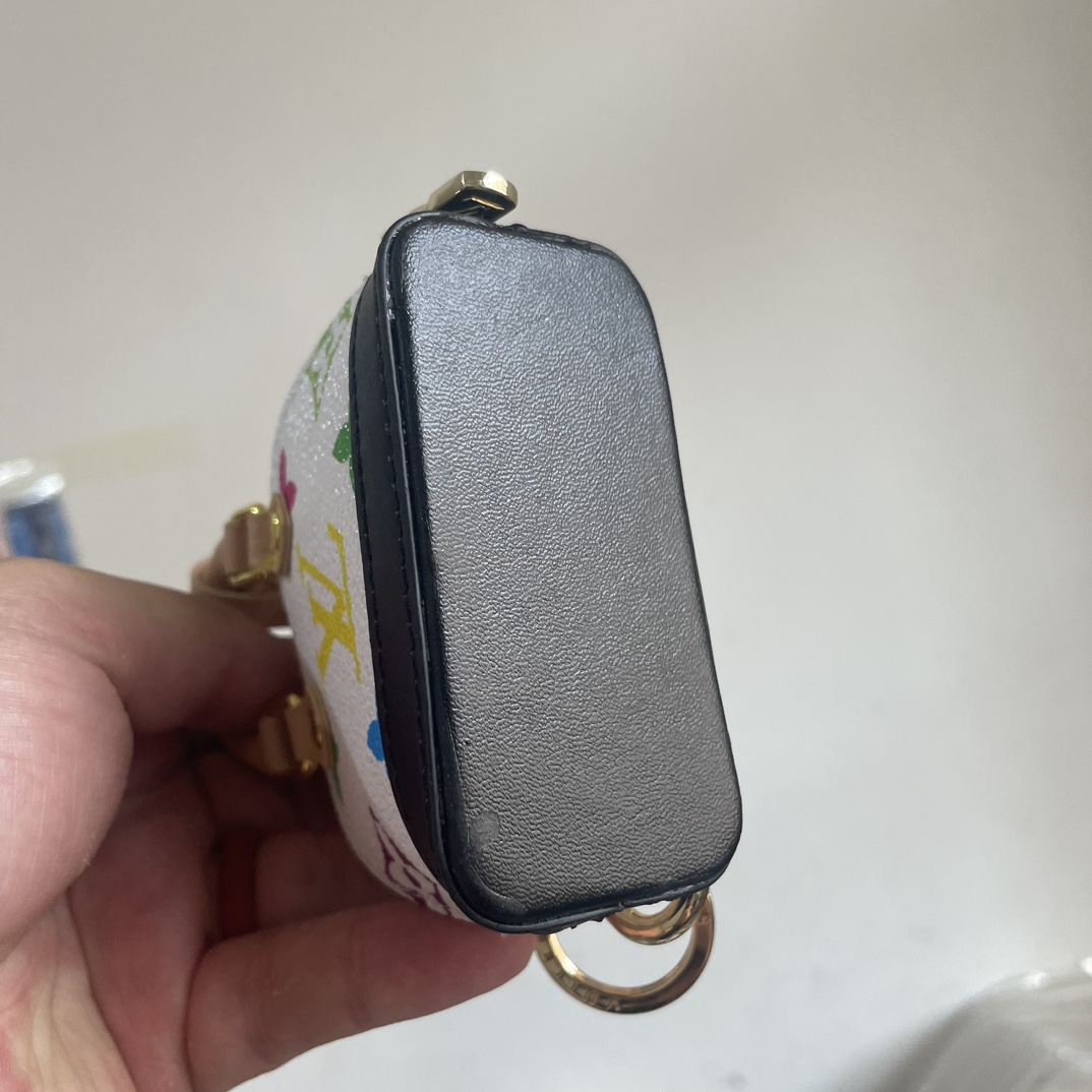 Mini Handbag Carrying the bag 5