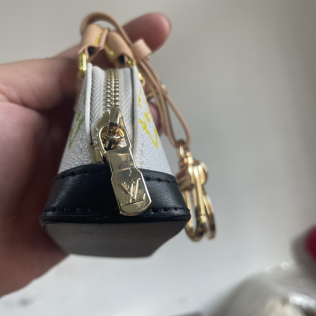 Mini Handbag Carrying the bag 3