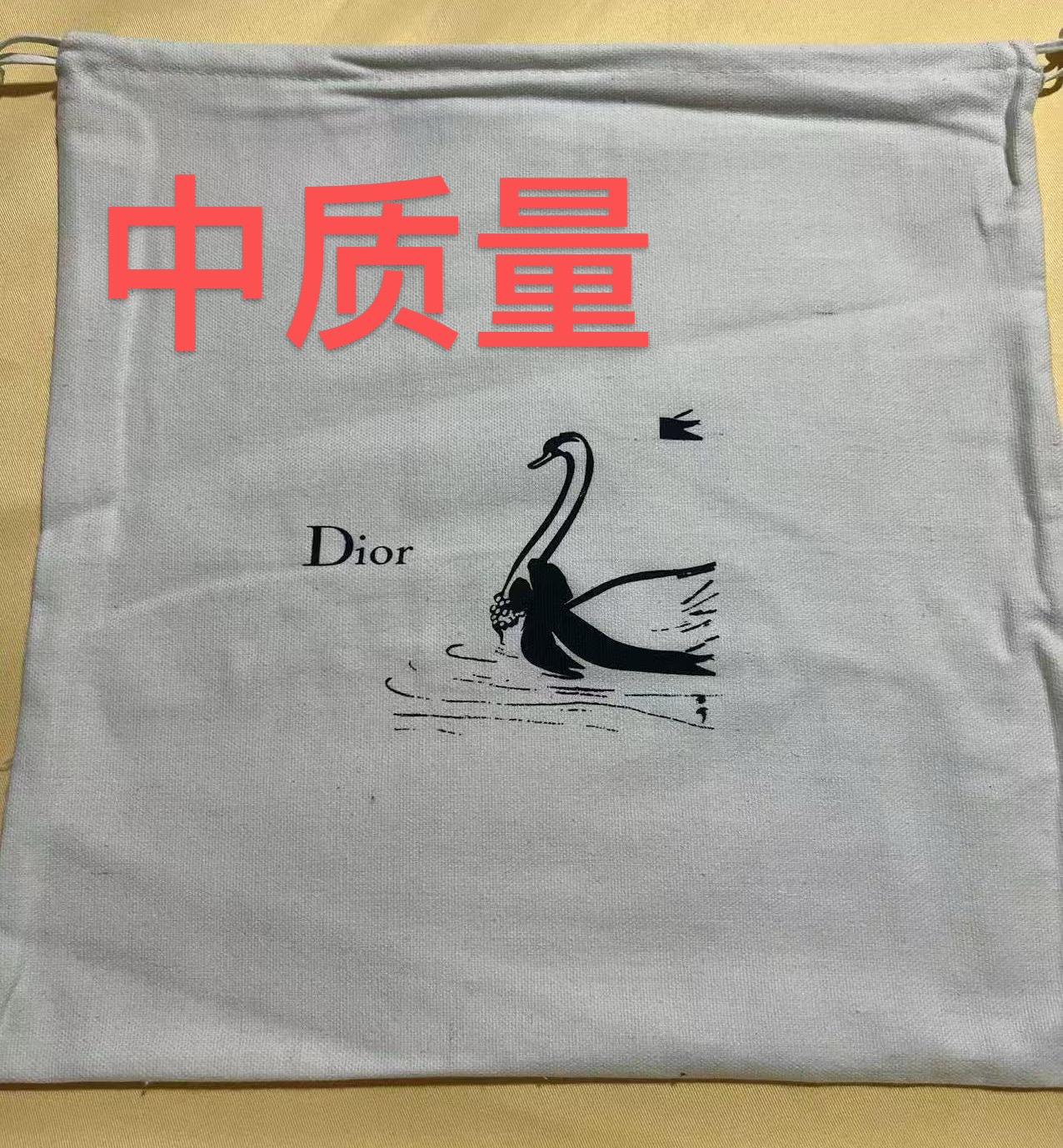 Dust Bag - Travel Packing Example Handbag in dust bag for travel