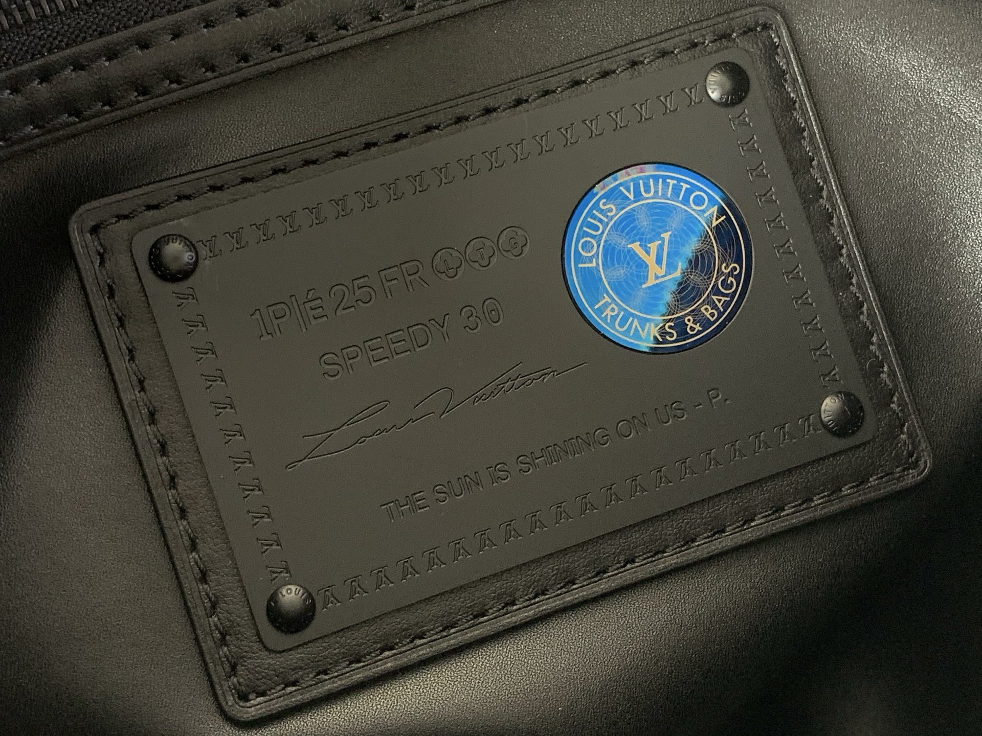 【SPEEDY BANDOULIÈRE30 手袋 】M14064咖啡(条纹)本款 Speedy Band