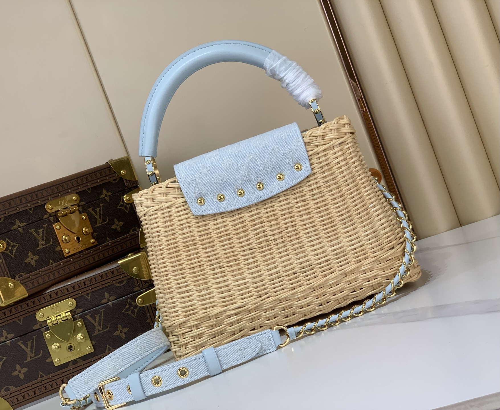 Louis Vuitton CAPUCINES bb everyday