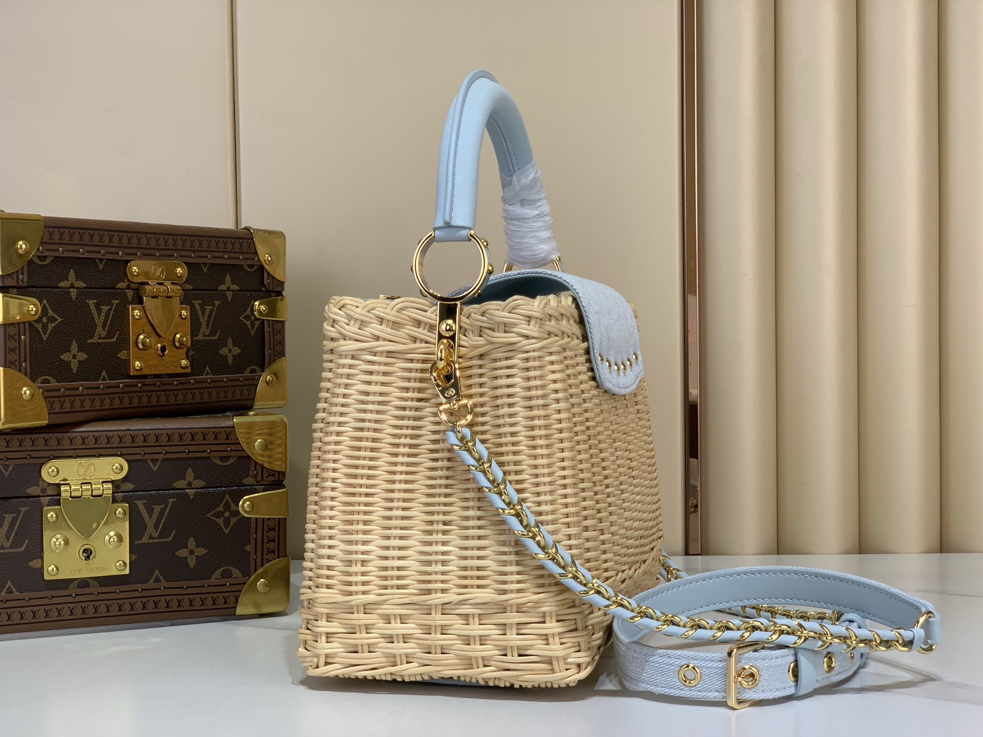 Louis Vuitton CAPUCINES bb everyday