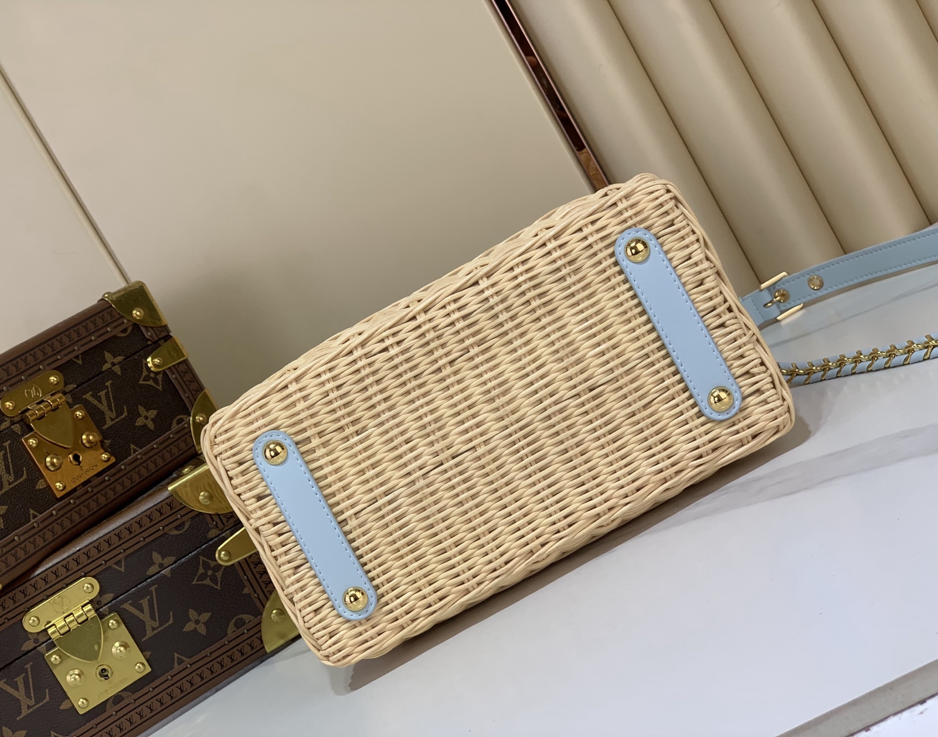 Louis Vuitton CAPUCINES bb everyday