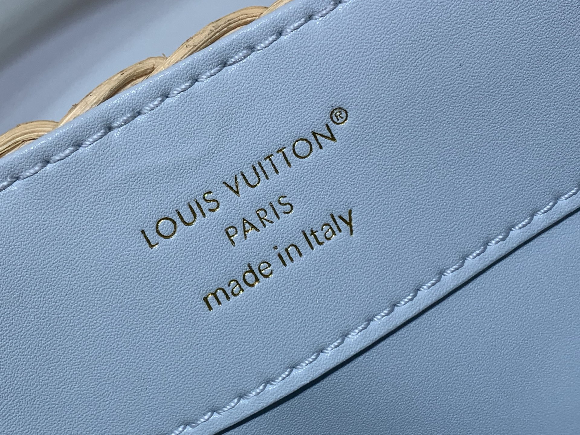 Louis Vuitton CAPUCINES bb everyday