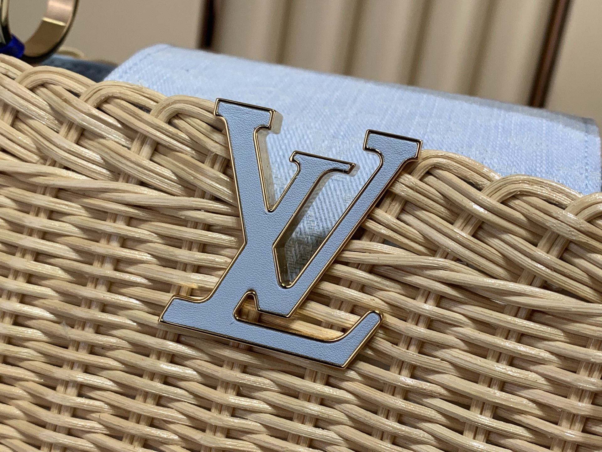 Louis Vuitton CAPUCINES bb everyday