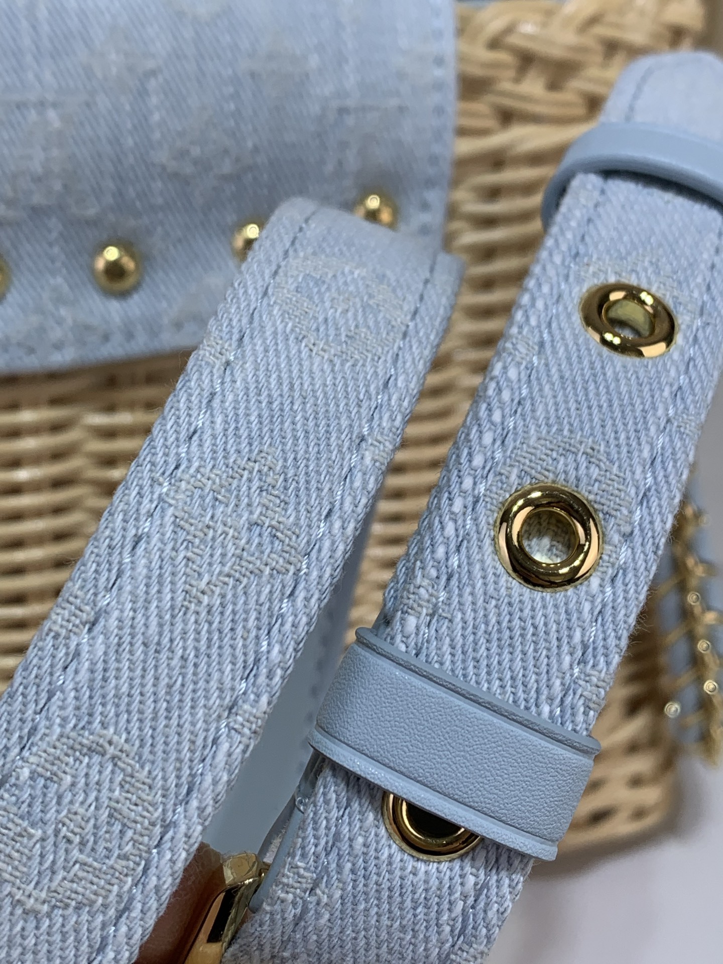 Louis Vuitton CAPUCINES bb everyday